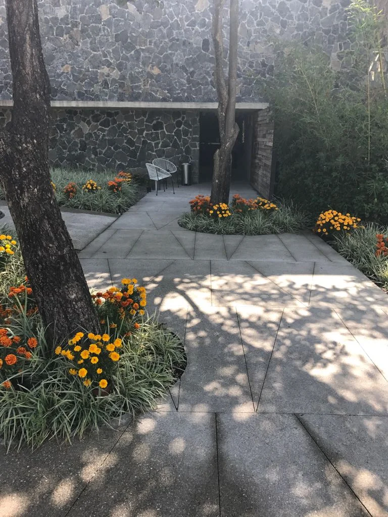 WhatsApp Image 2017-11-01 at 2.05.03 PM (1).jpeg