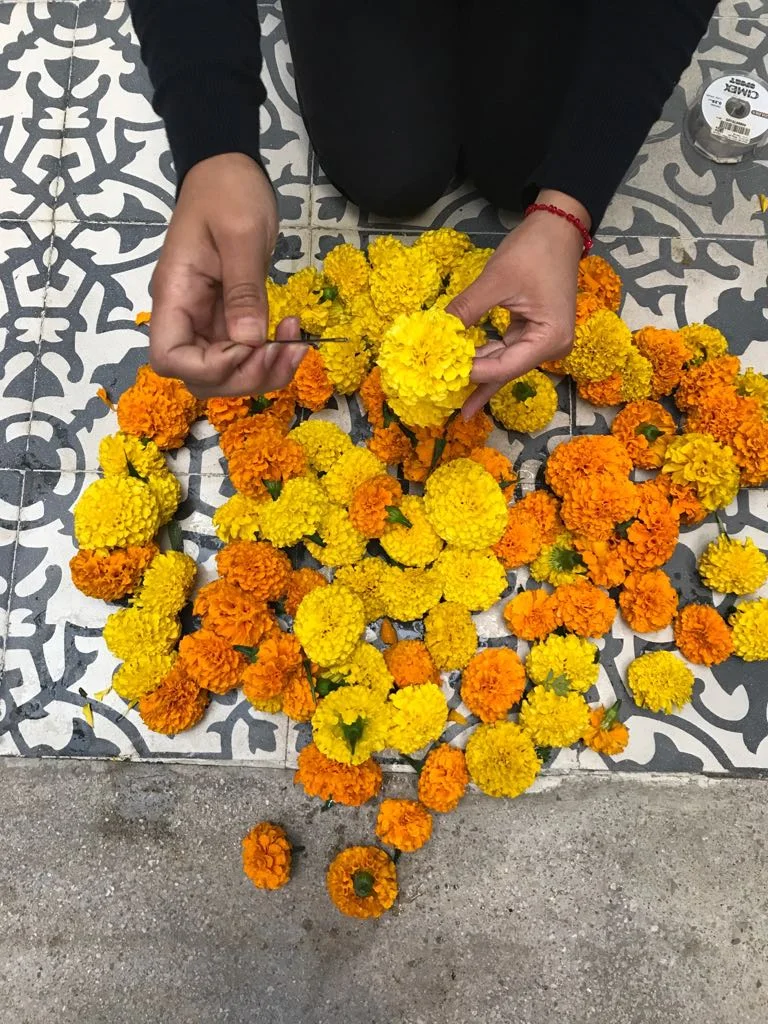 WhatsApp Image 2017-11-01 at 2.05.04 PM.jpeg