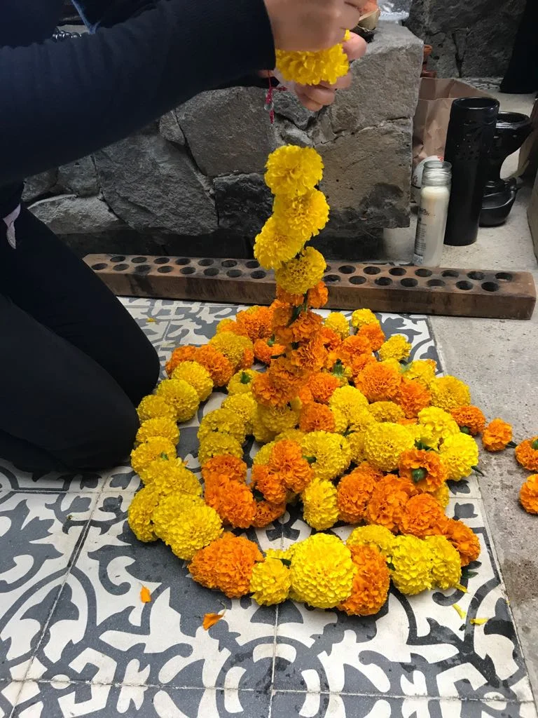 WhatsApp Image 2017-11-01 at 2.05.06 PM.jpeg