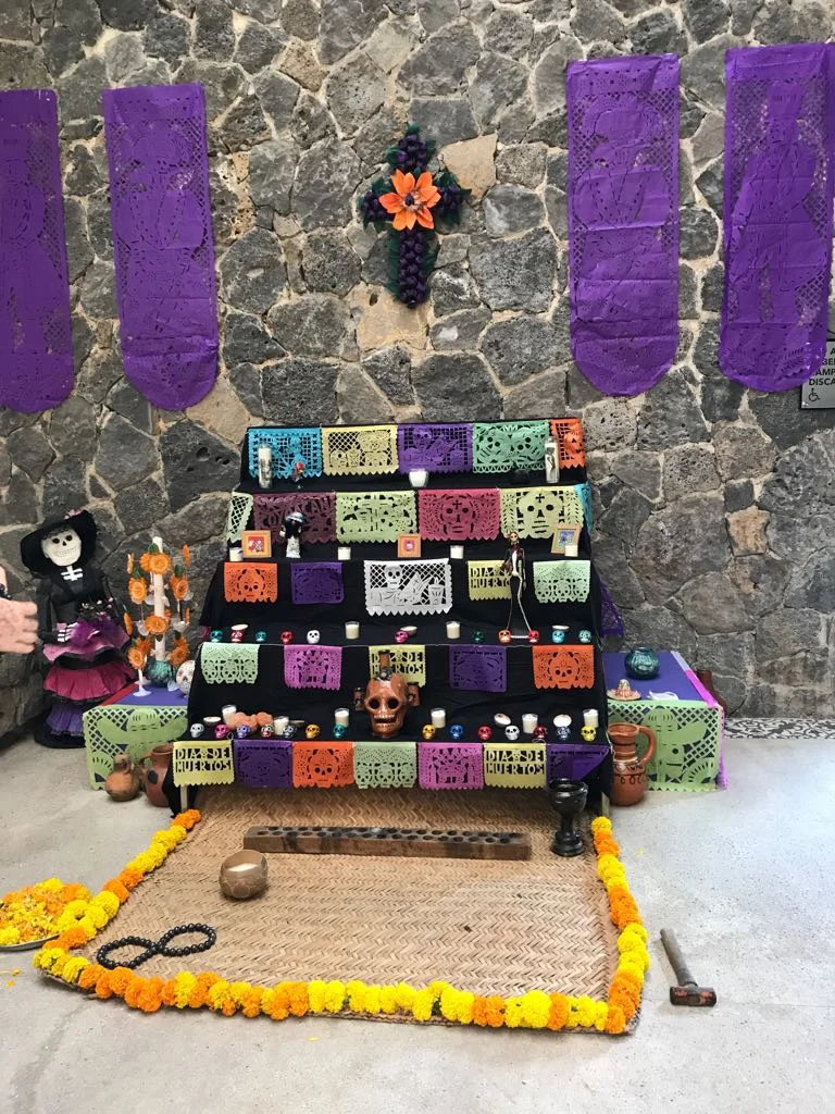 WhatsApp Image 2017-11-01 at 2.05.10 PM.jpeg