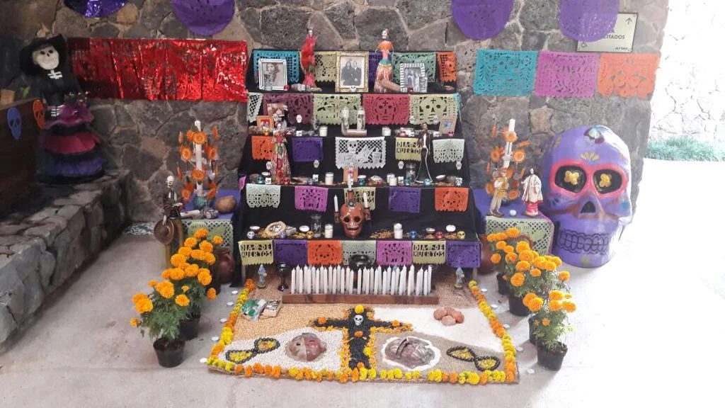 WhatsApp Image 2017-11-01 at 2.05.11 PM.jpeg