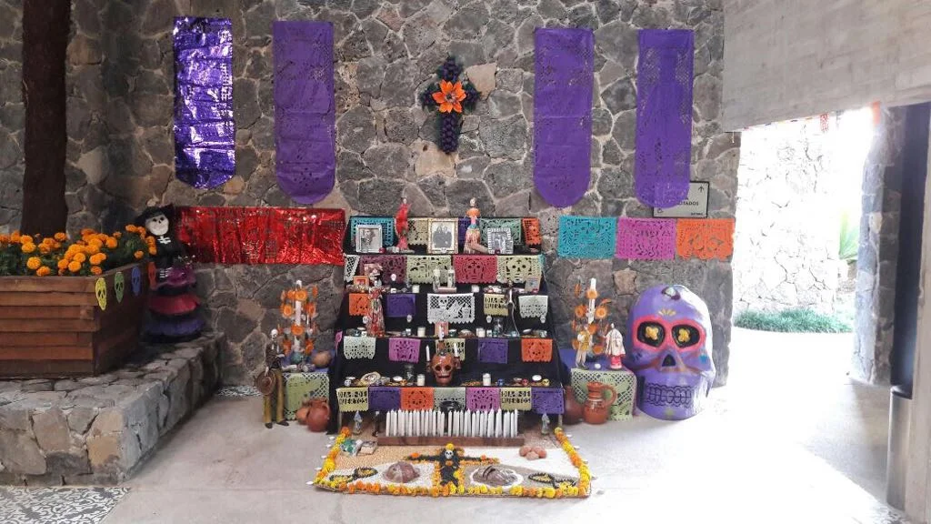 WhatsApp Image 2017-11-01 at 2.05.12 PM.jpeg