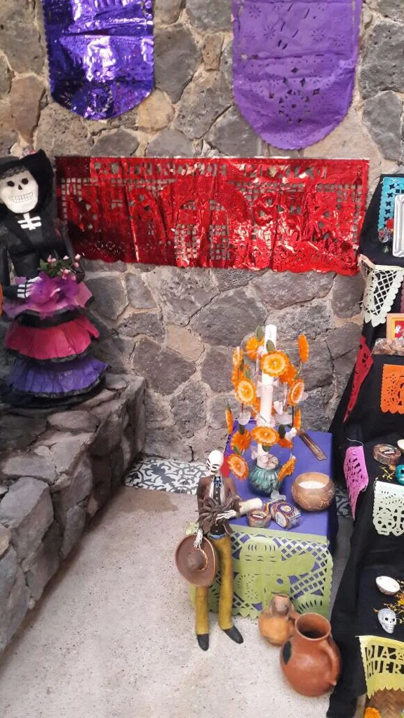 WhatsApp Image 2017-11-01 at 2.05.13 PM.jpeg