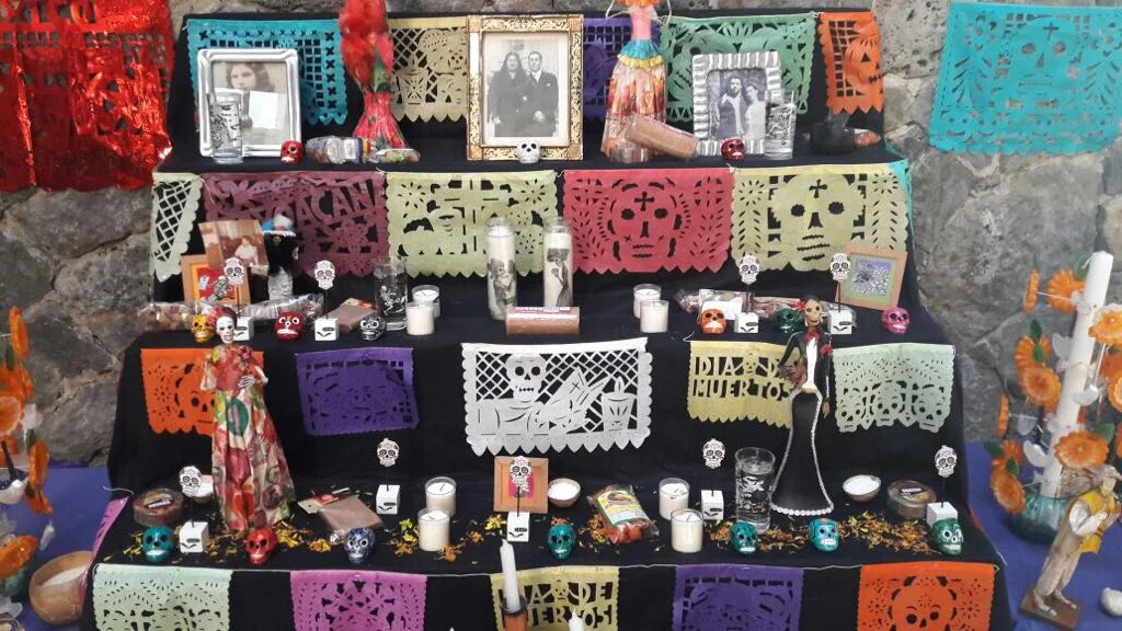 WhatsApp Image 2017-11-01 at 2.05.14 PM.jpeg