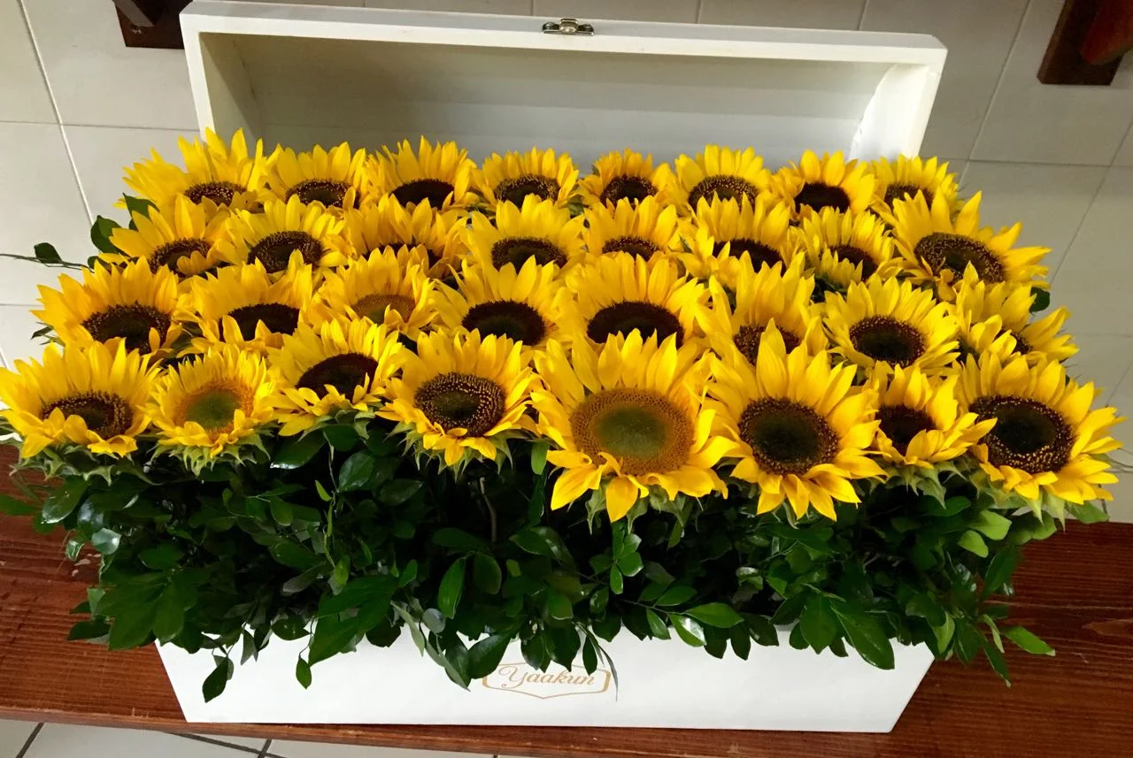 cofre-de-girasoles.jpg