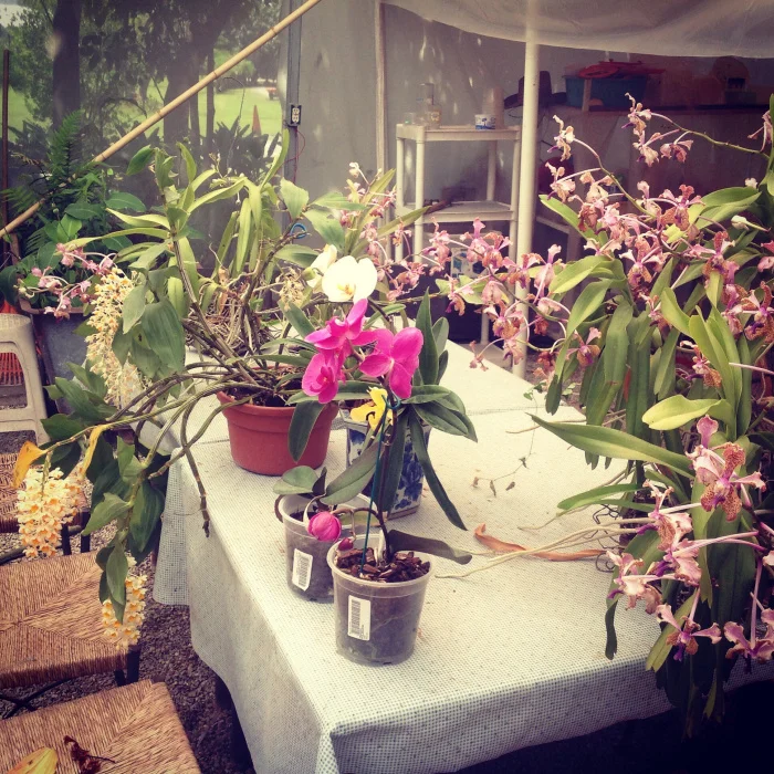 image34.jpg