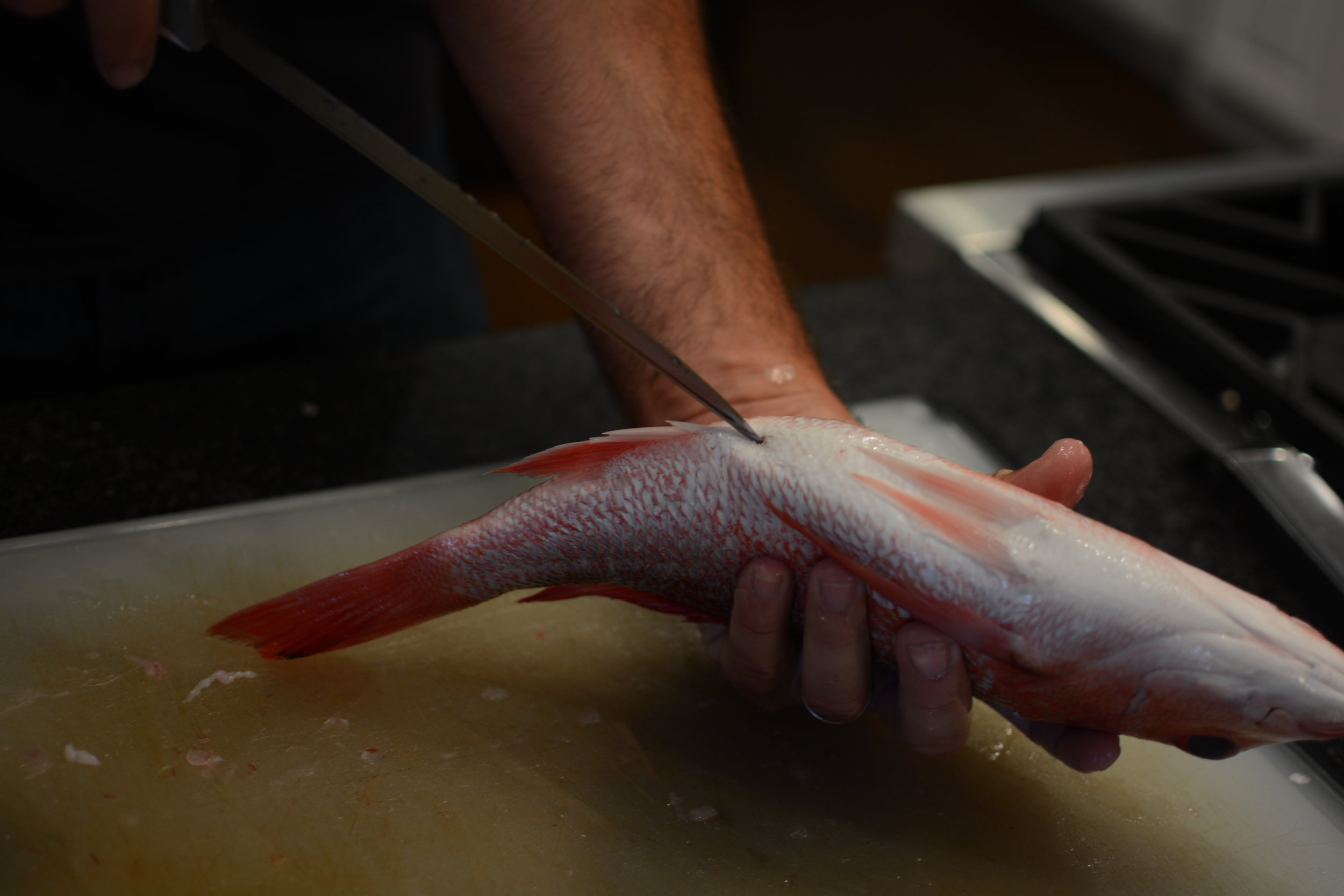 SCALING, GUTTING, AND PREPARING FISH TO BE PREPARED WHOLE
