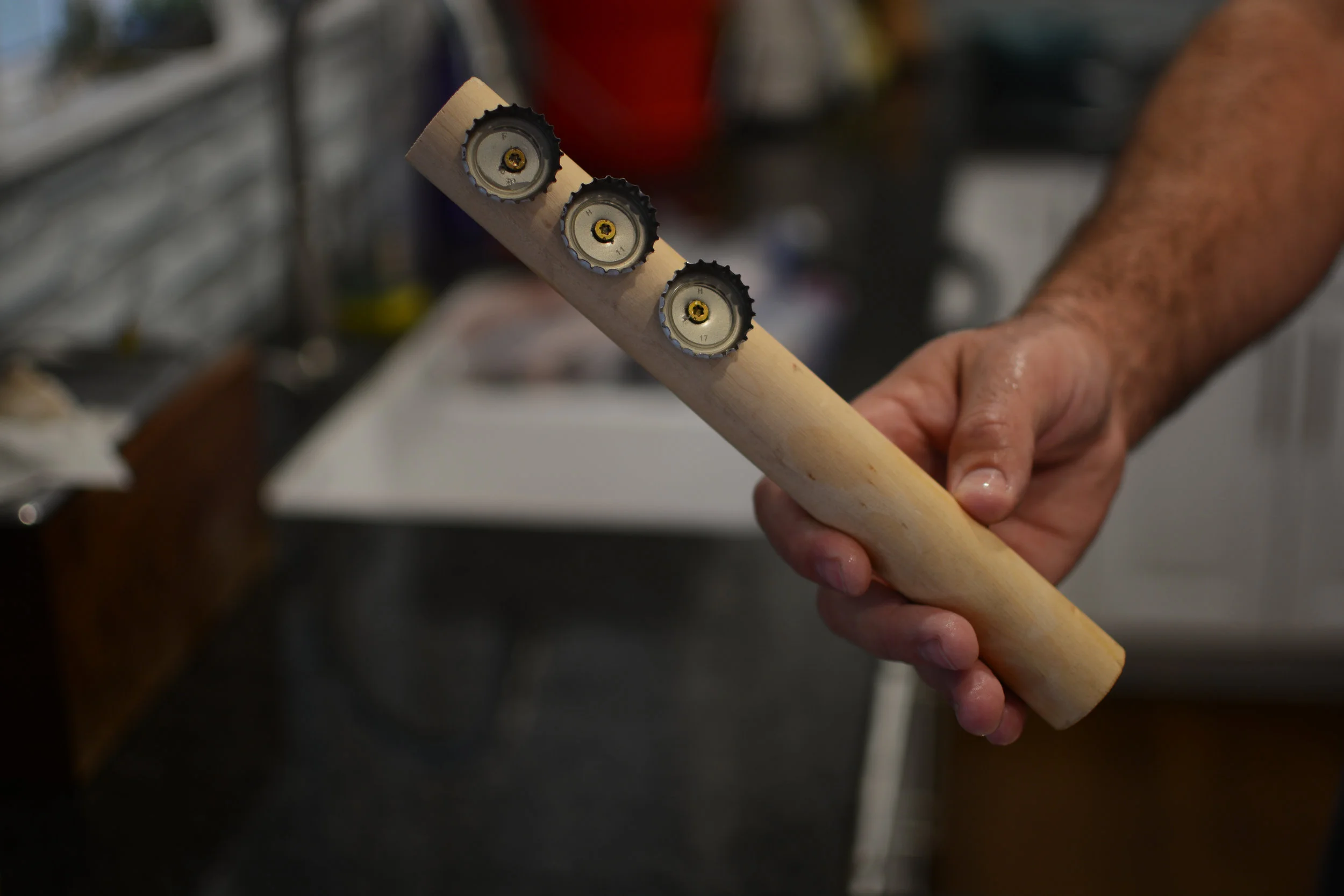 diy fish scaler