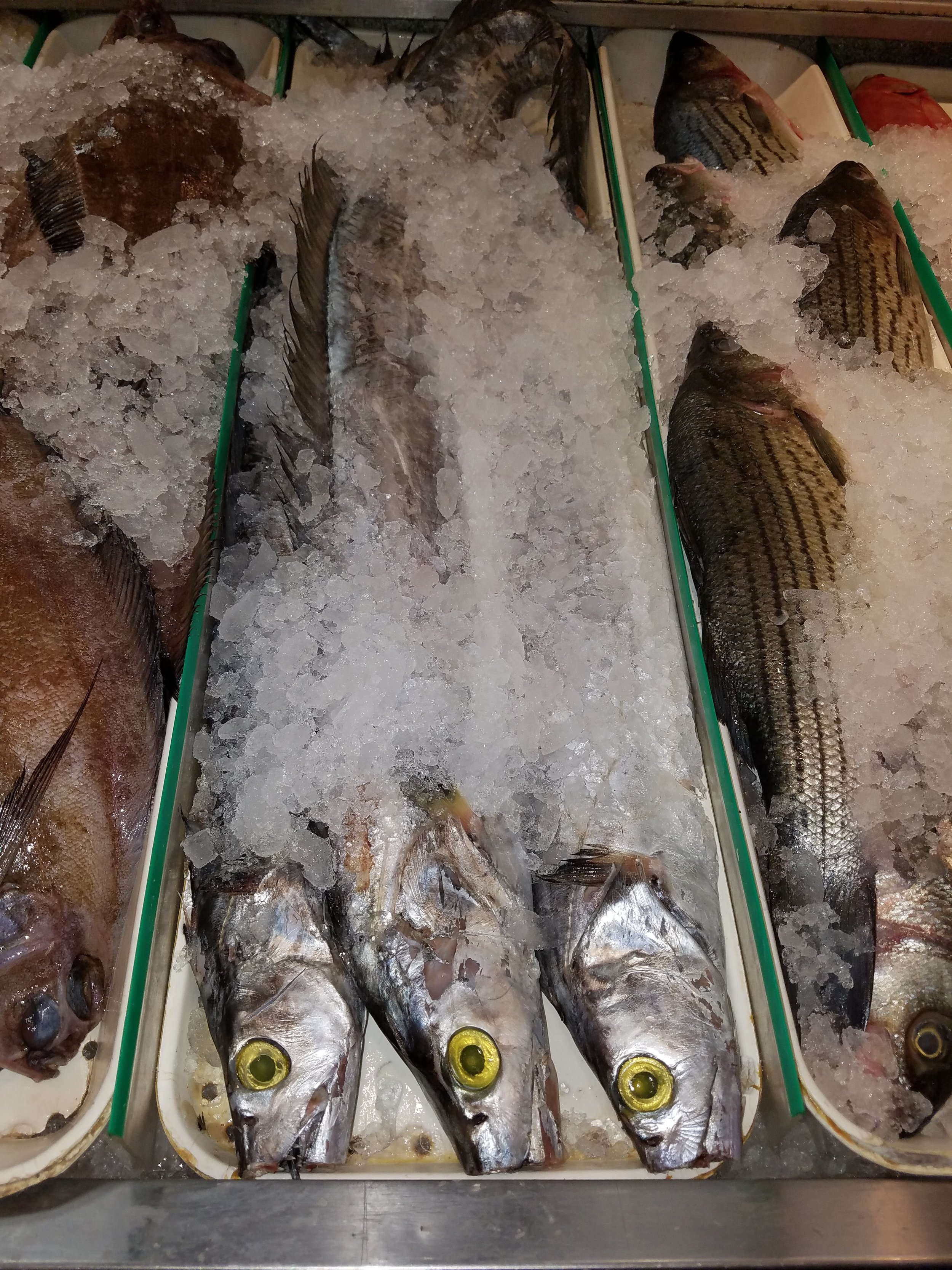 FP: Belt Fish — SEAFOOD SHERPA