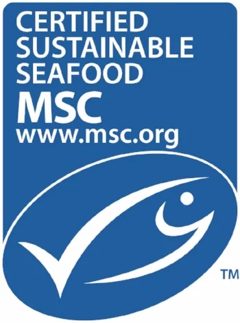 msc_new_logo_vertical.jpg