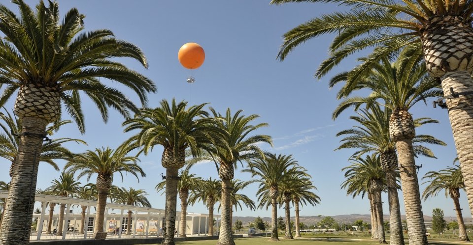 Balloon Palm Court Lawn.jpg