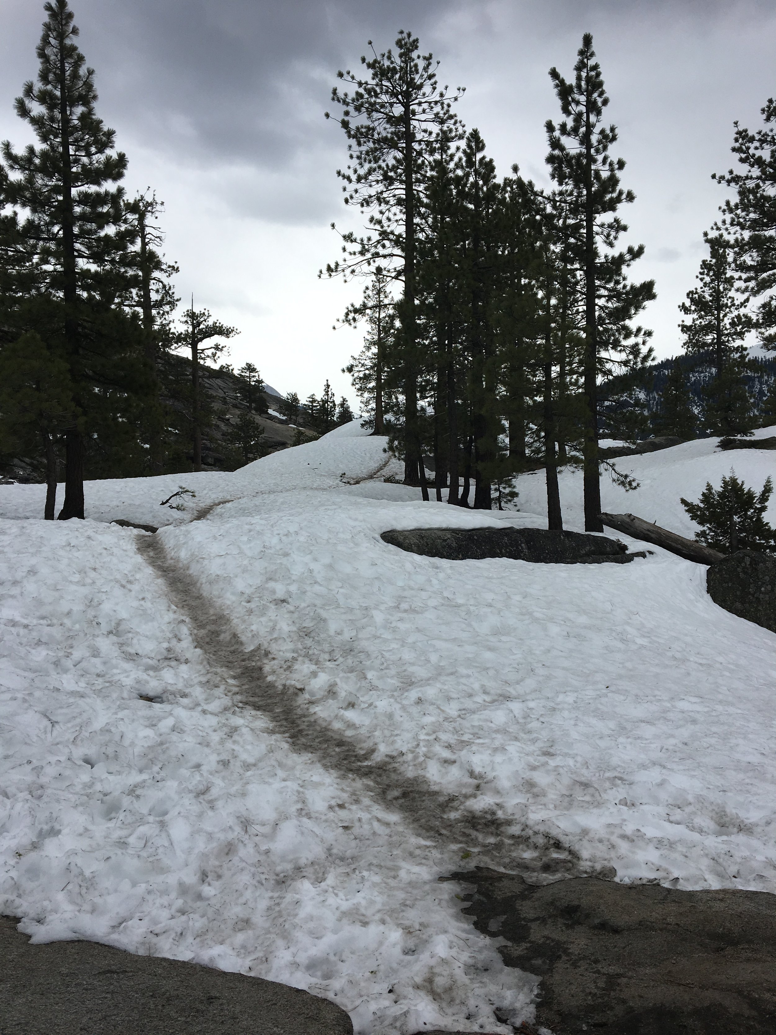  Snow at the top of Yosemite Falls…we started the hike in shorts with our jackets wrapped around our waists! 