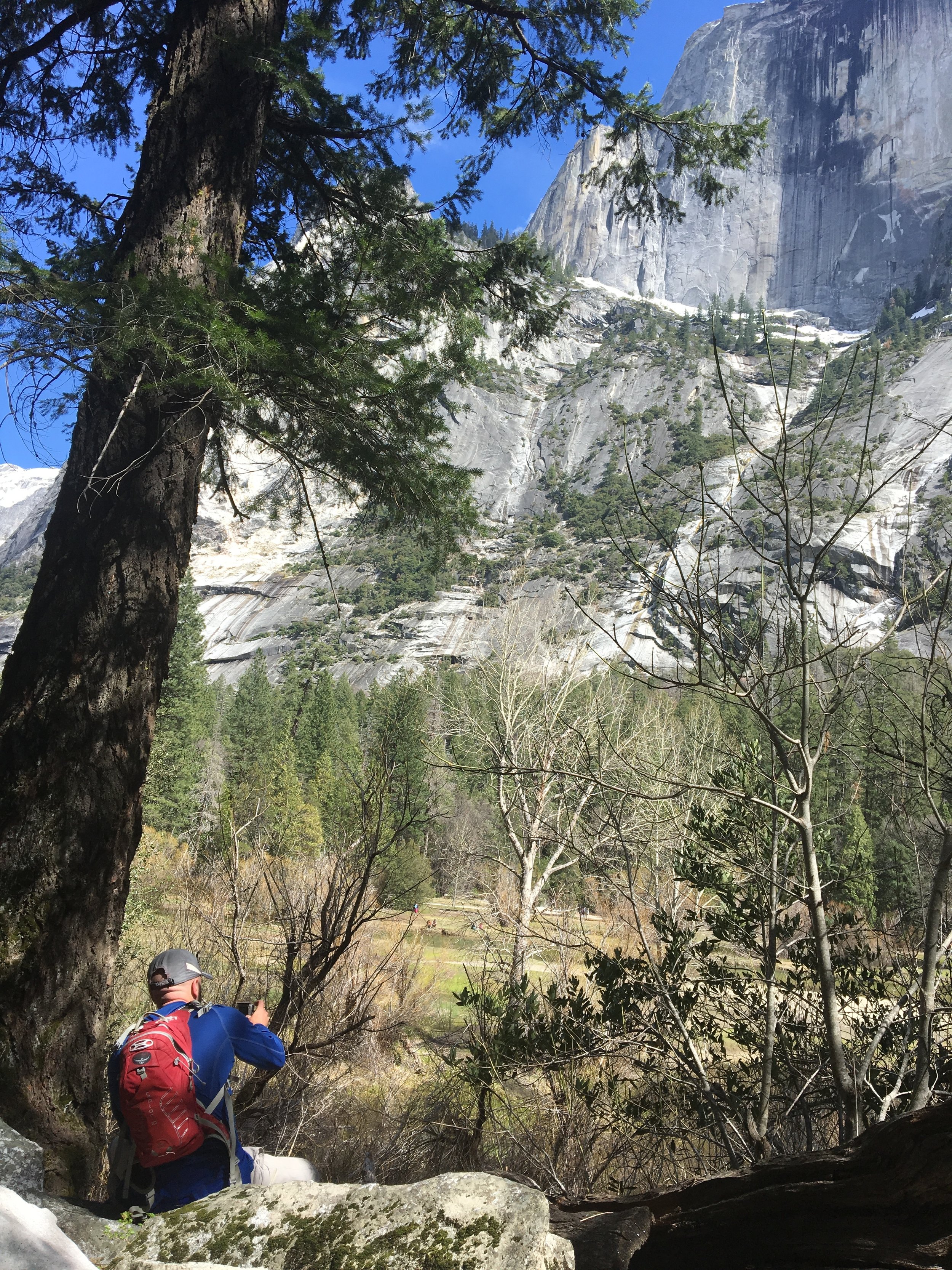  Checking out half dome (this was on his birthday!) 