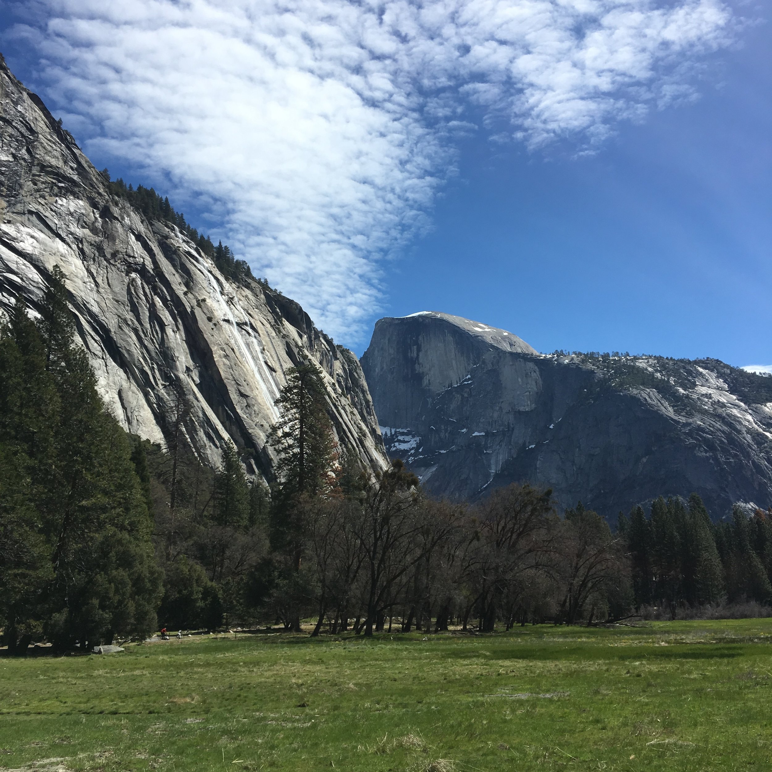  Half Dome from the Valley 