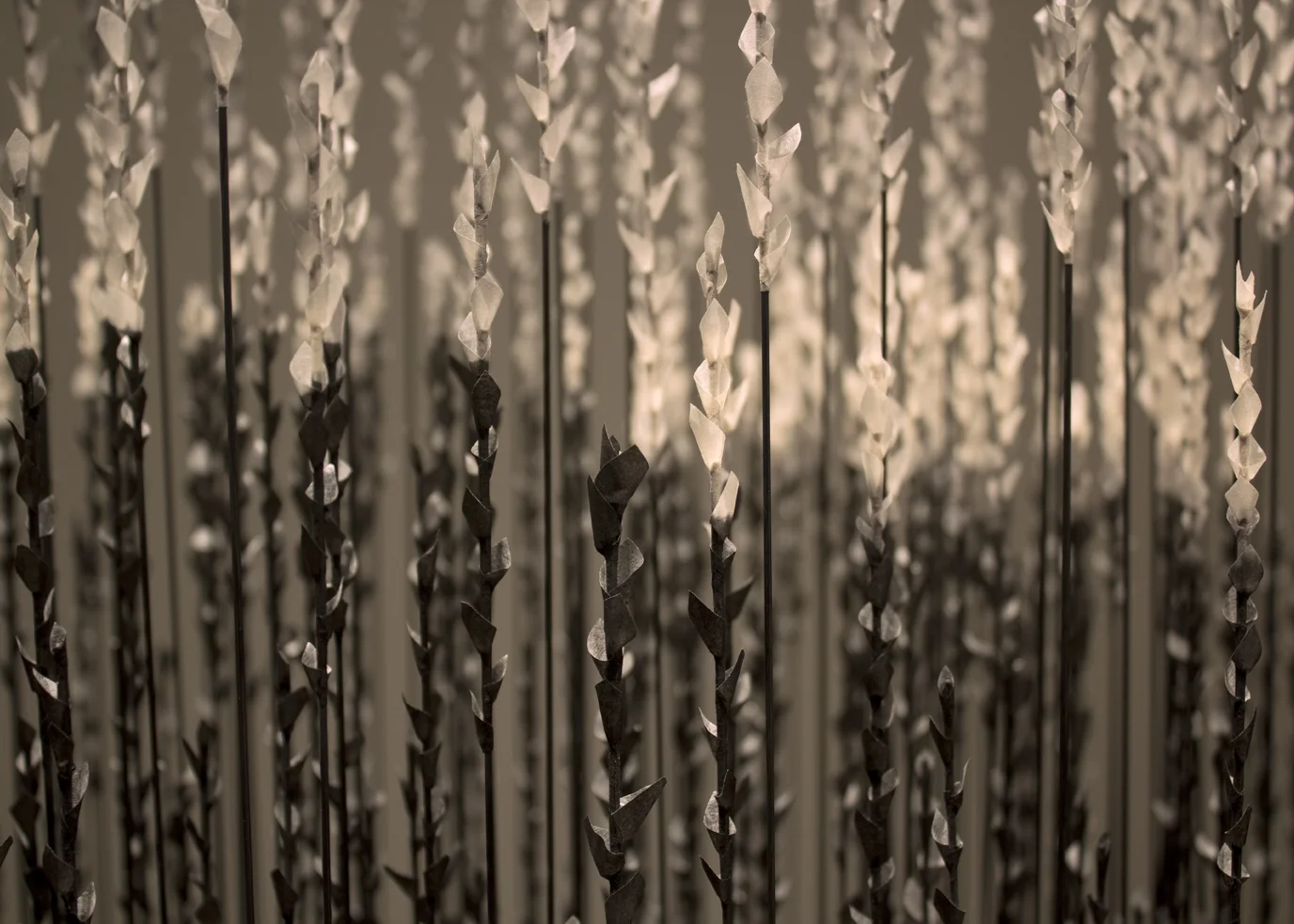 Shifting Views – Detail 2