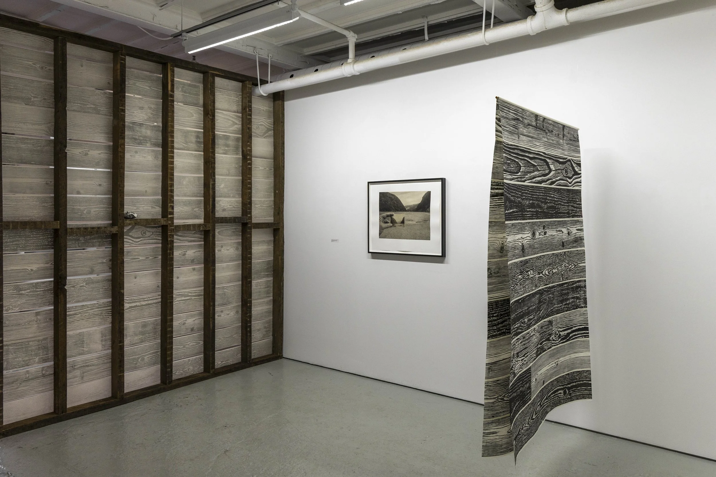 Paradise - Installation View 