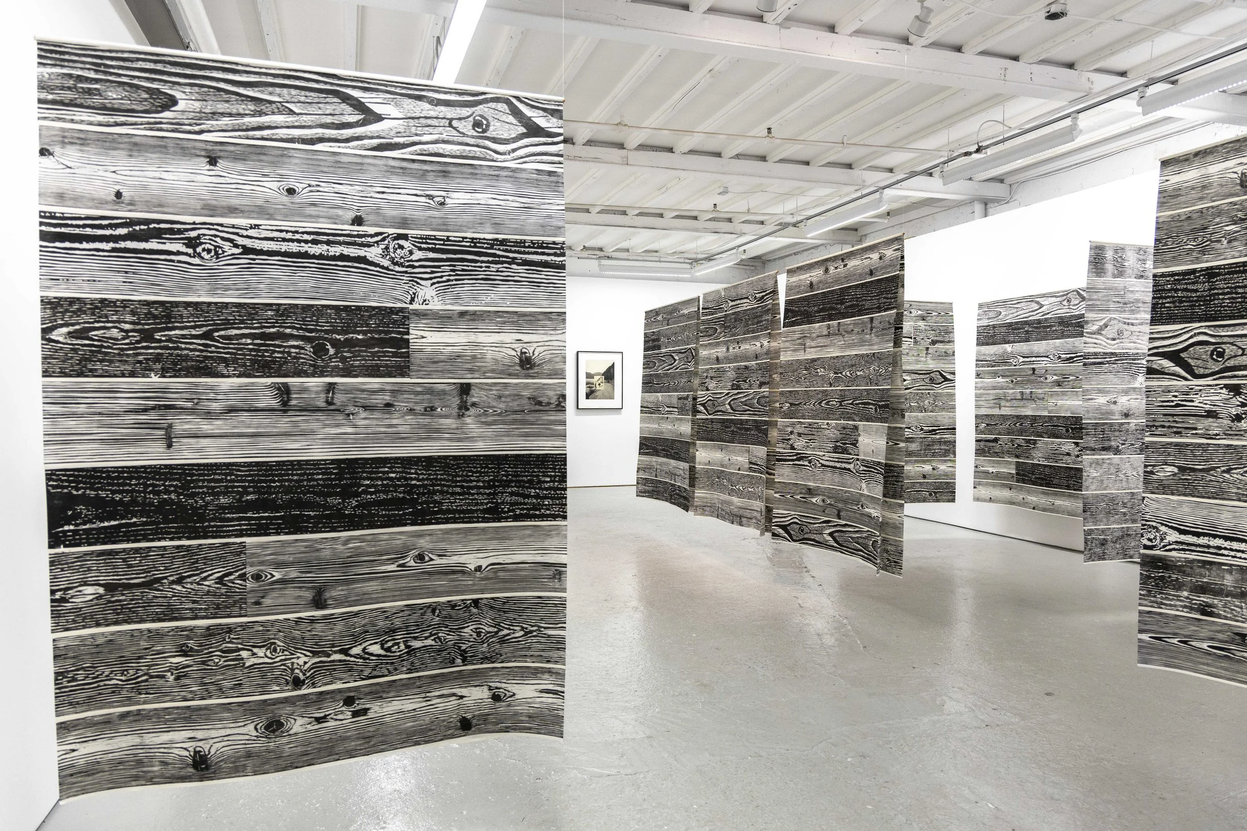 Paradise (Hanging Paper Panels) 