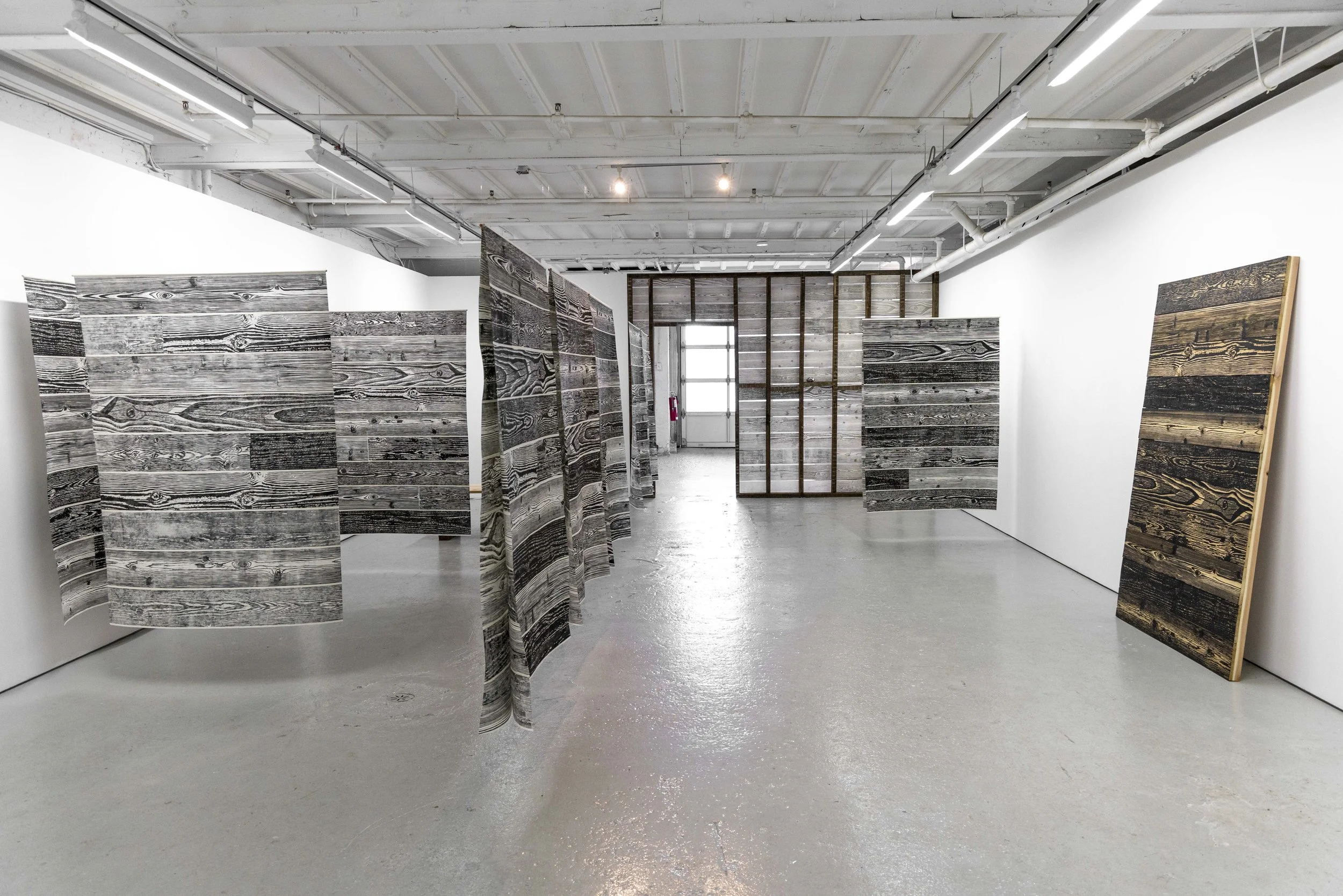 Paradise - Installation View 
