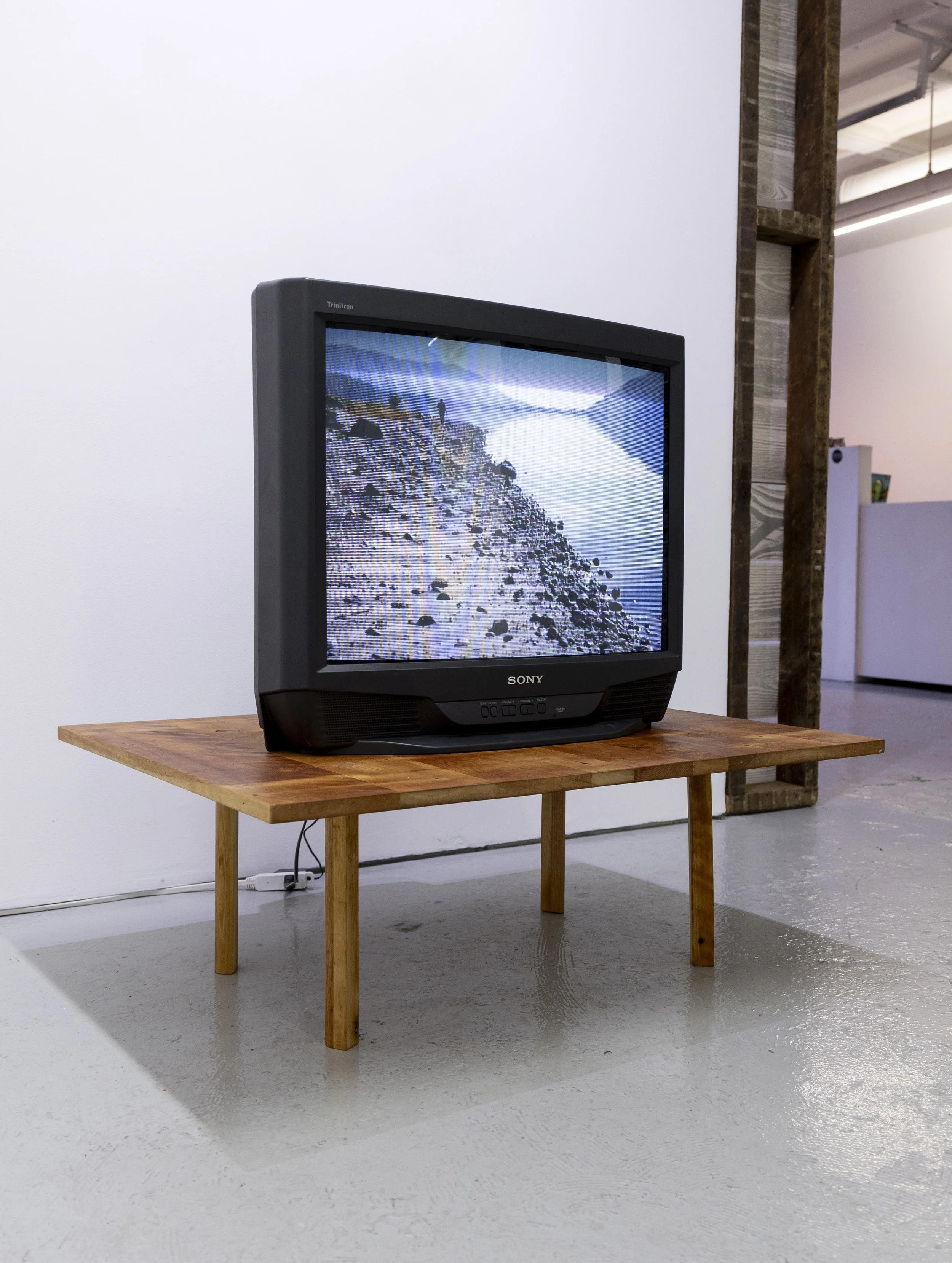 Paradise (Video Work) 