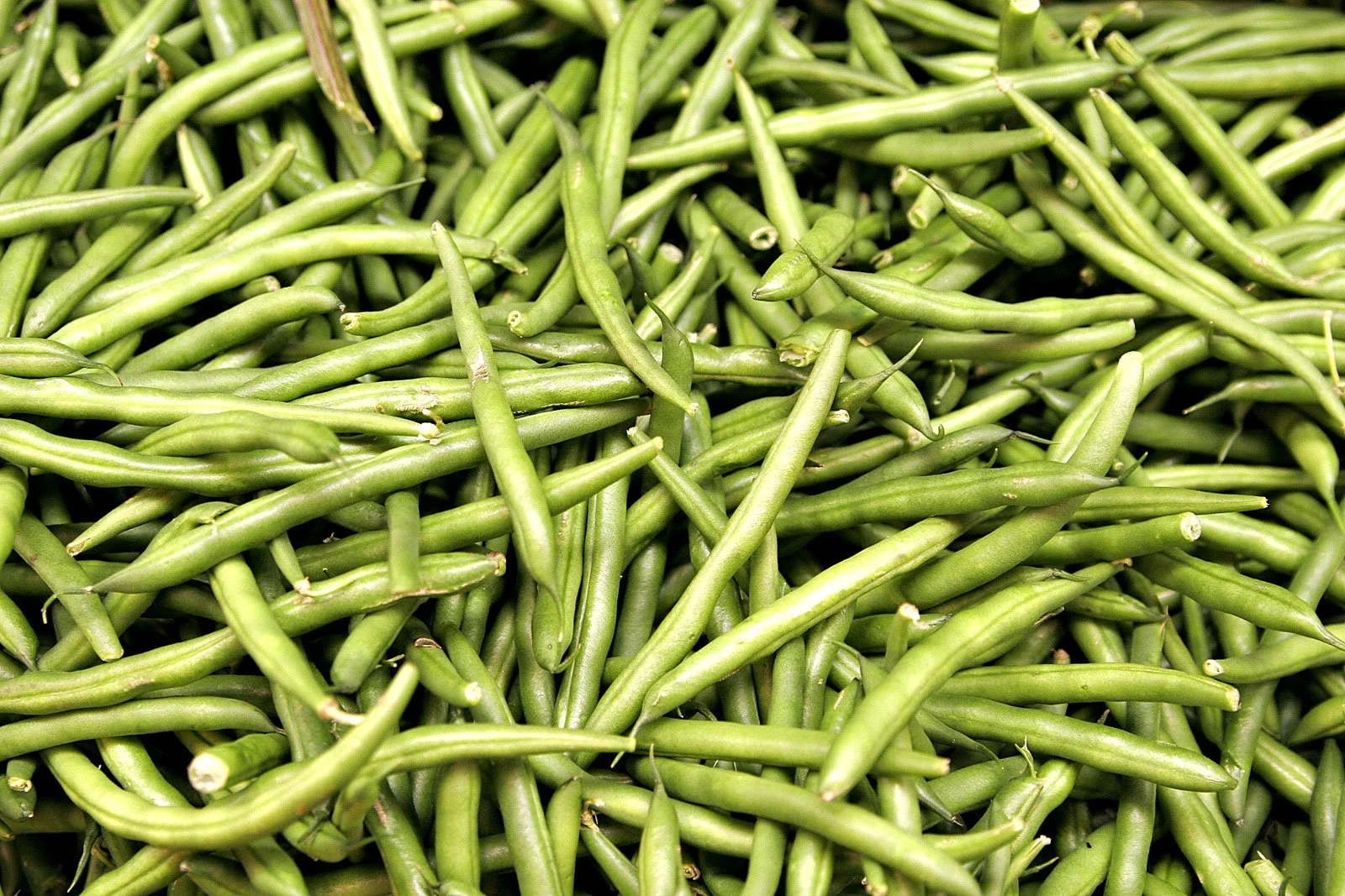 Heaps_of_beans.jpg