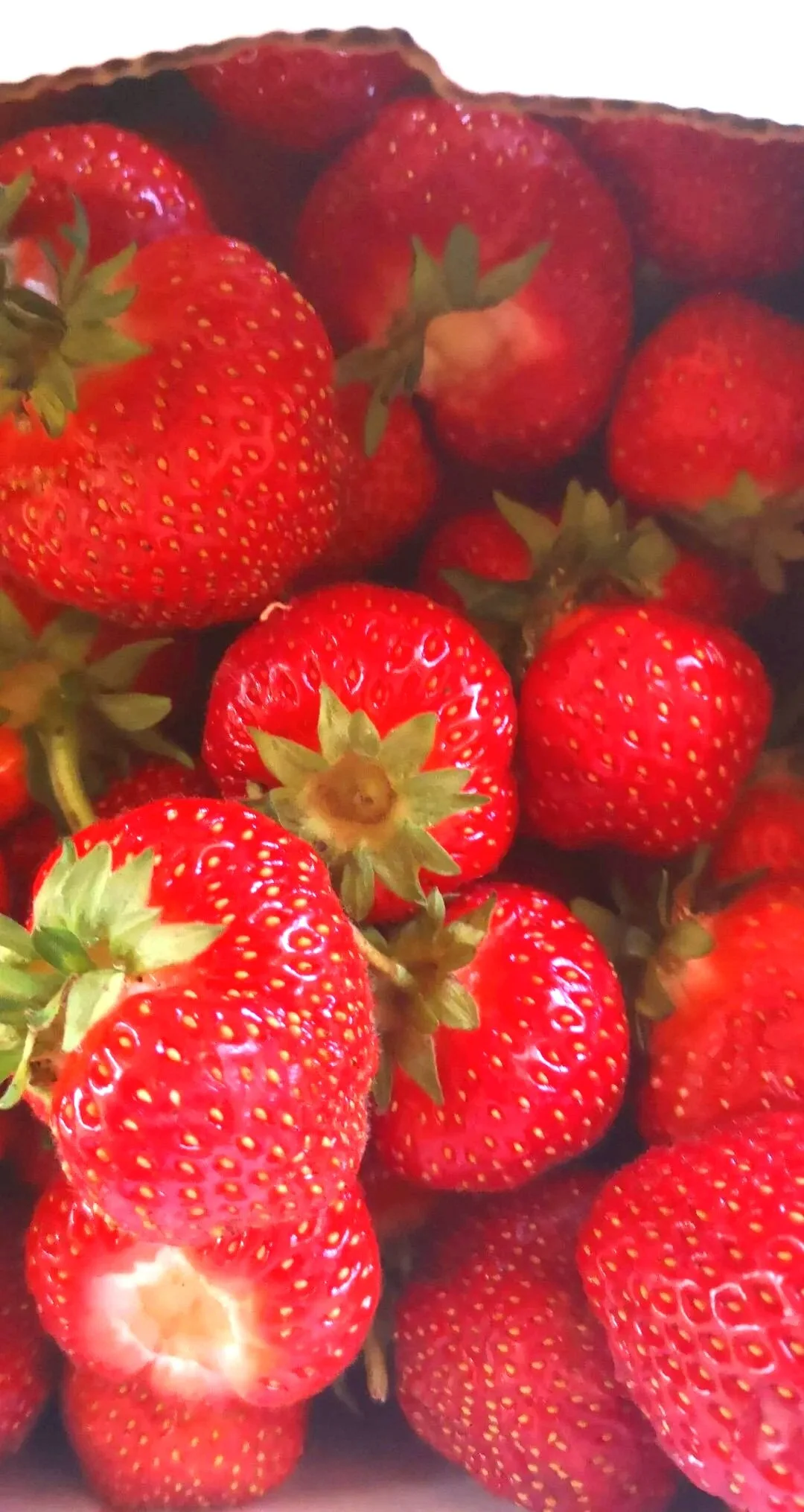 Strawberries.jpg