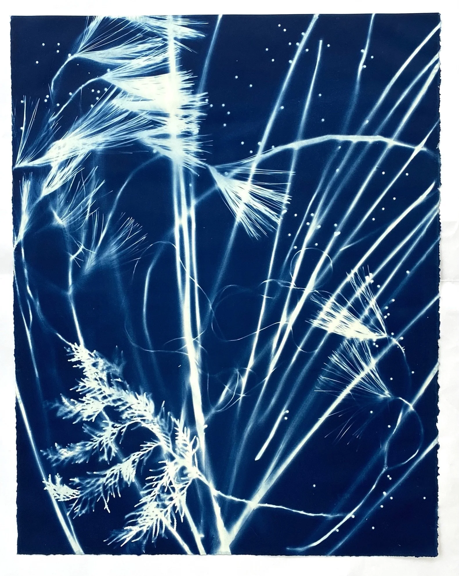 Winter Horsetail Sweep