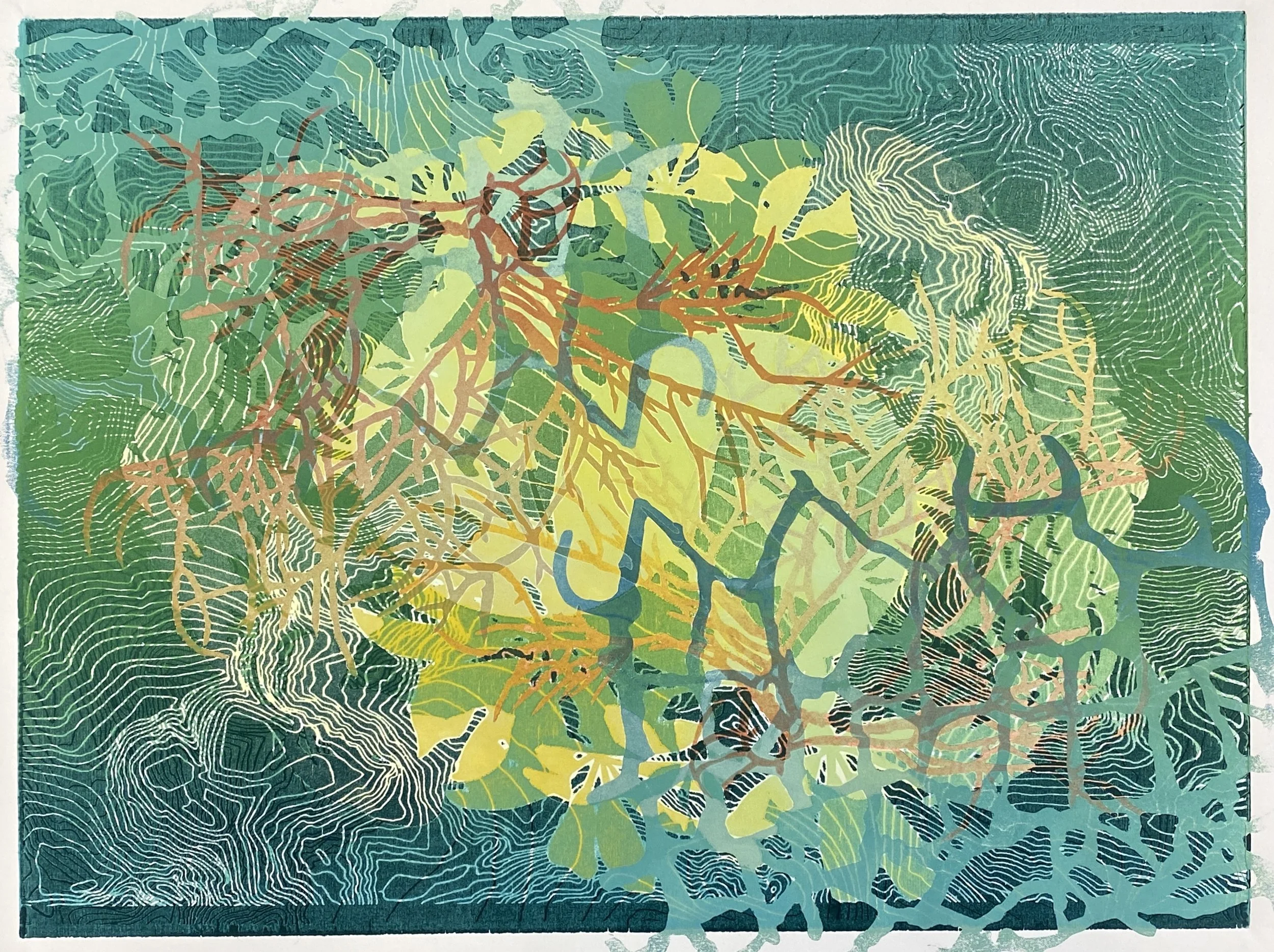 Global Aberrations #4, 18" x 24"