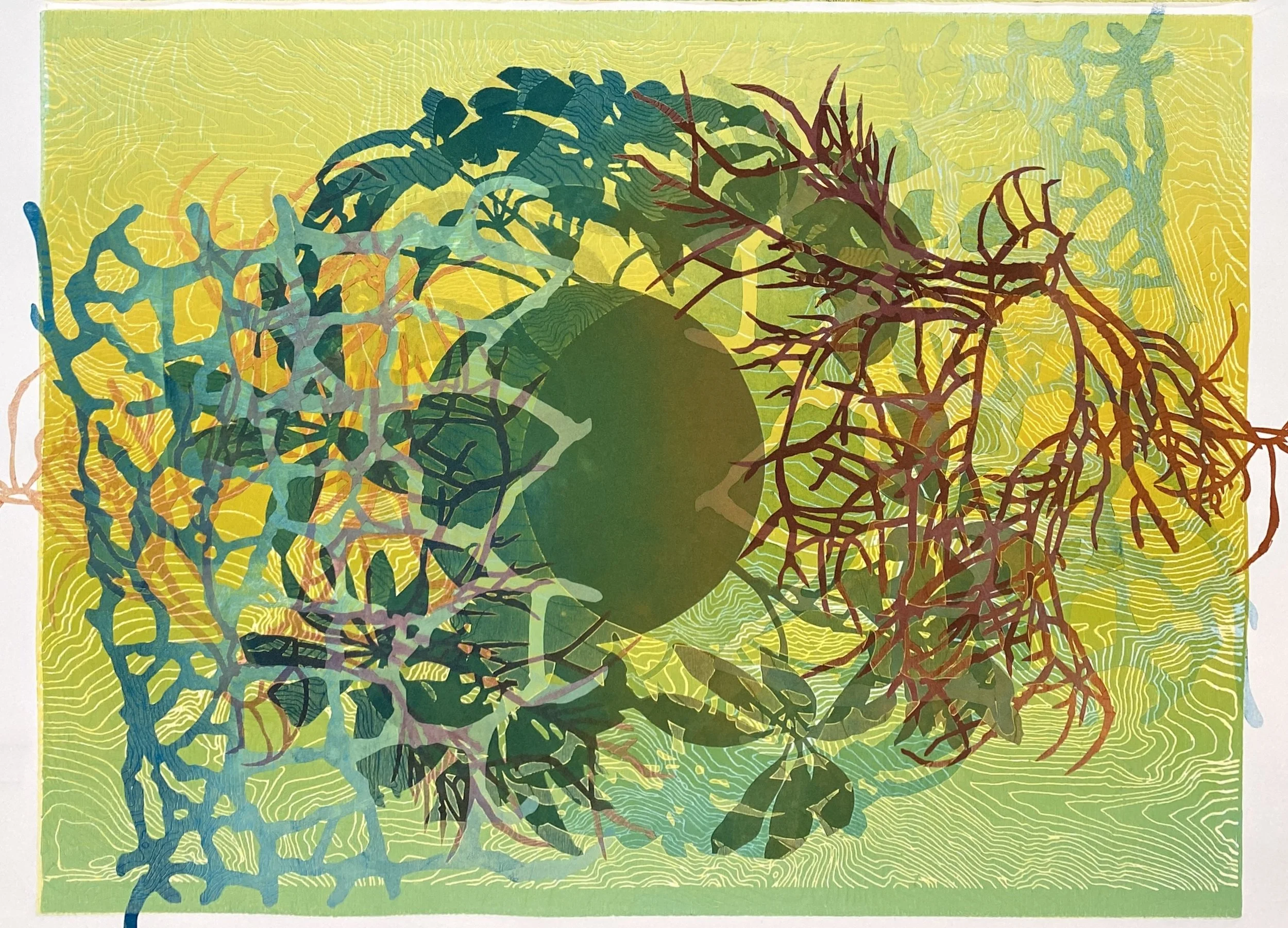 Global Aberrations #3, 18" x 24"