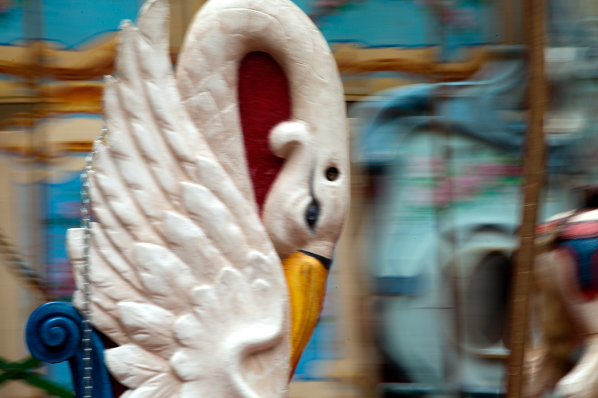 _MG_0426.jpg