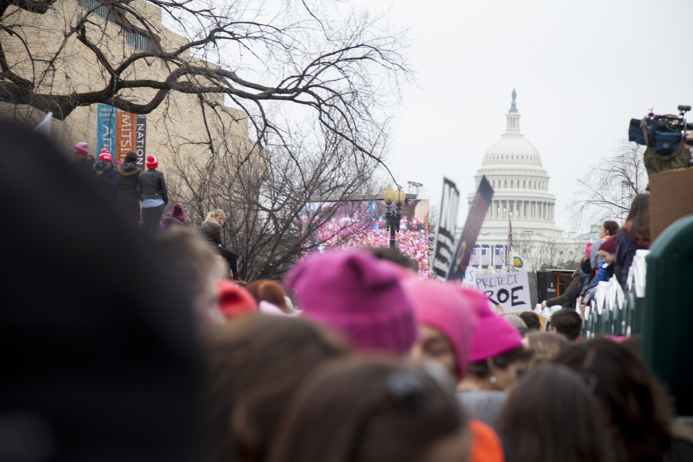 The Women's March 2017, Washington DC