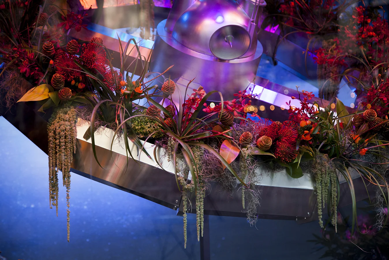 JHS_MacysFlowerShow_0001A.jpg