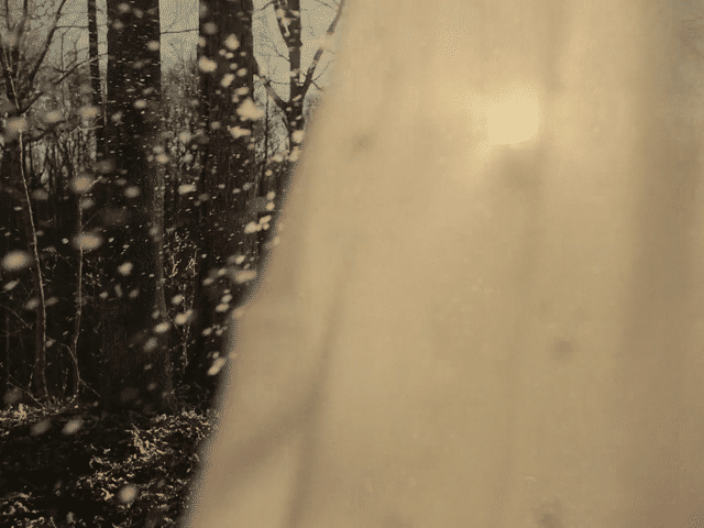 Snowcaps Teaser 1 1.43.mp4-high.gif