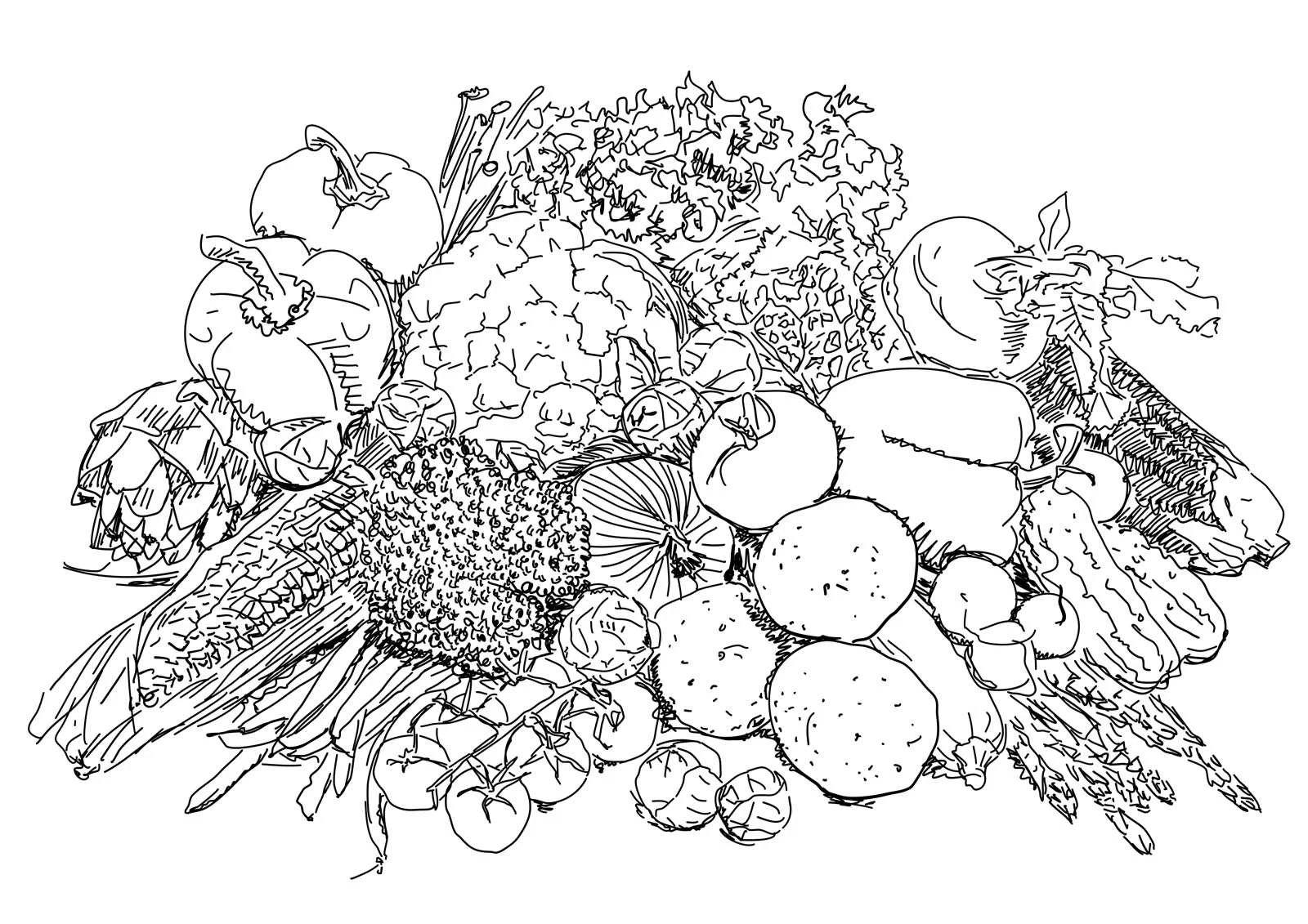 veg1.jpg