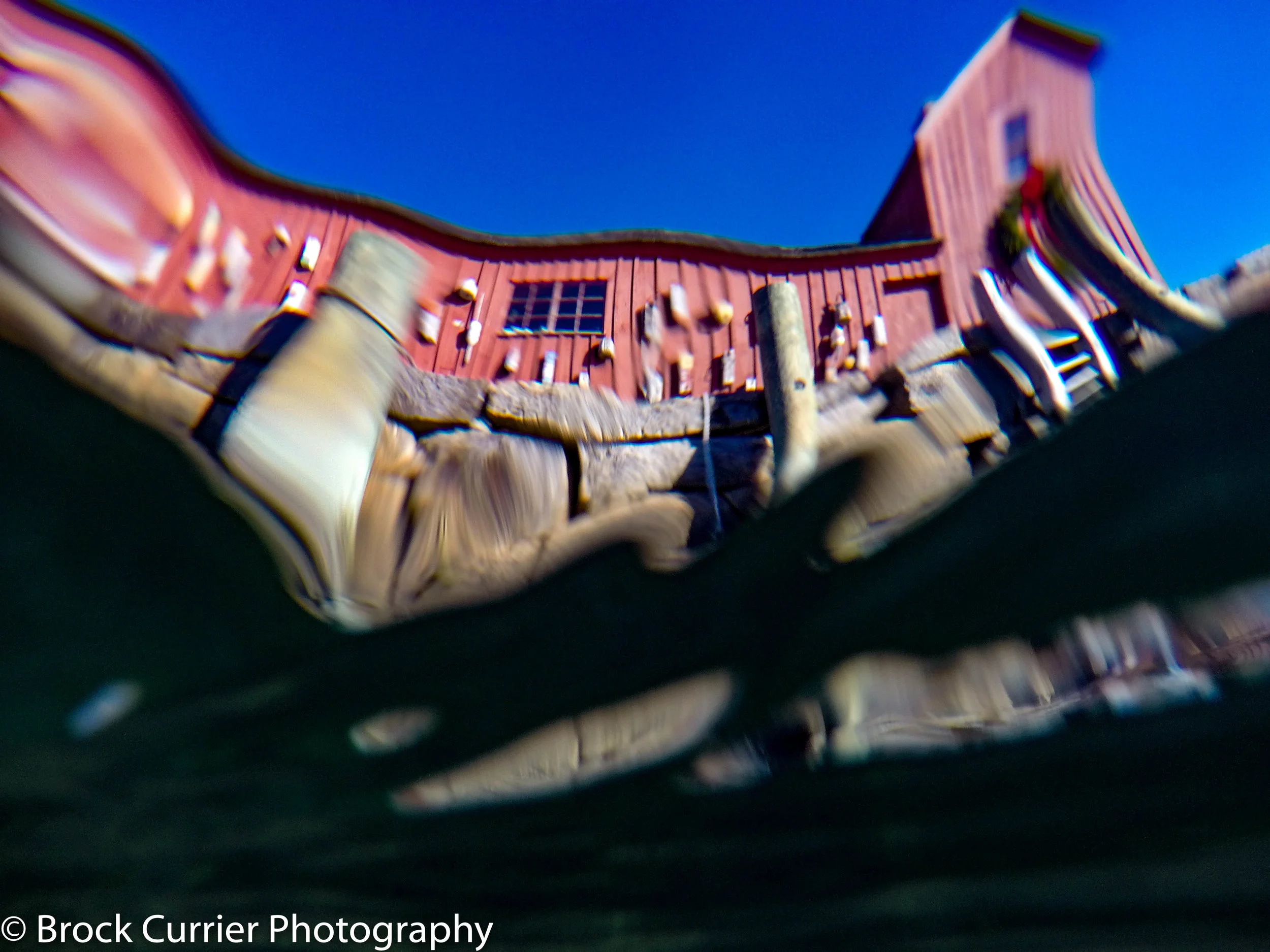 Fish Eye Motif