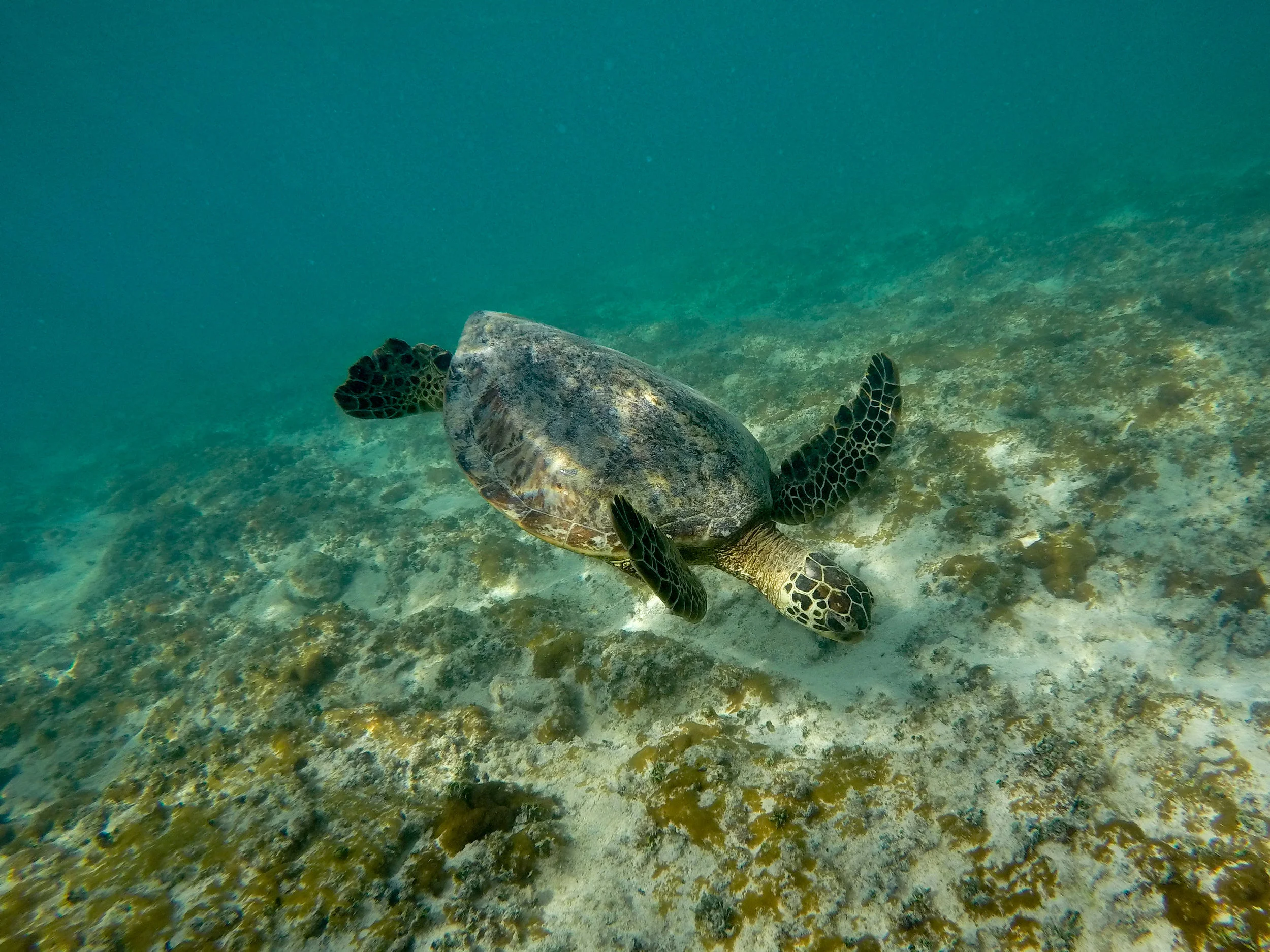 G0073040.jpg