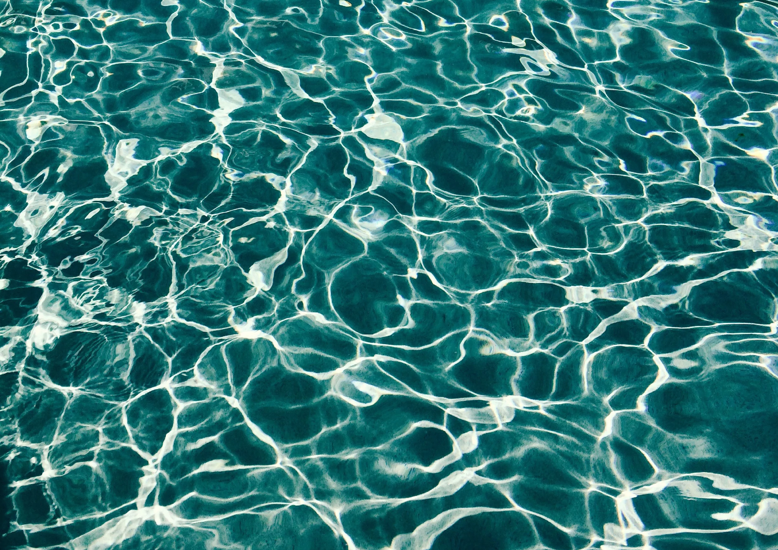 water filter.jpg