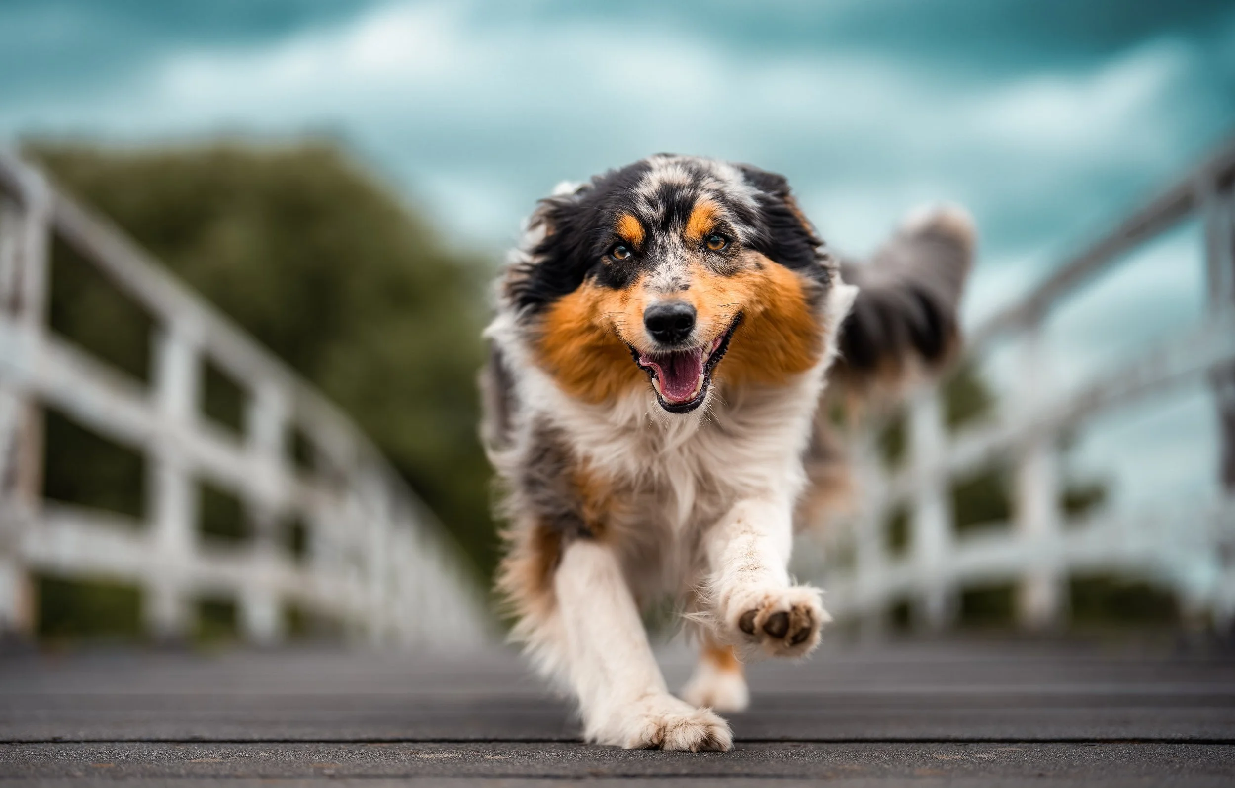 Shooting to get 3D pop