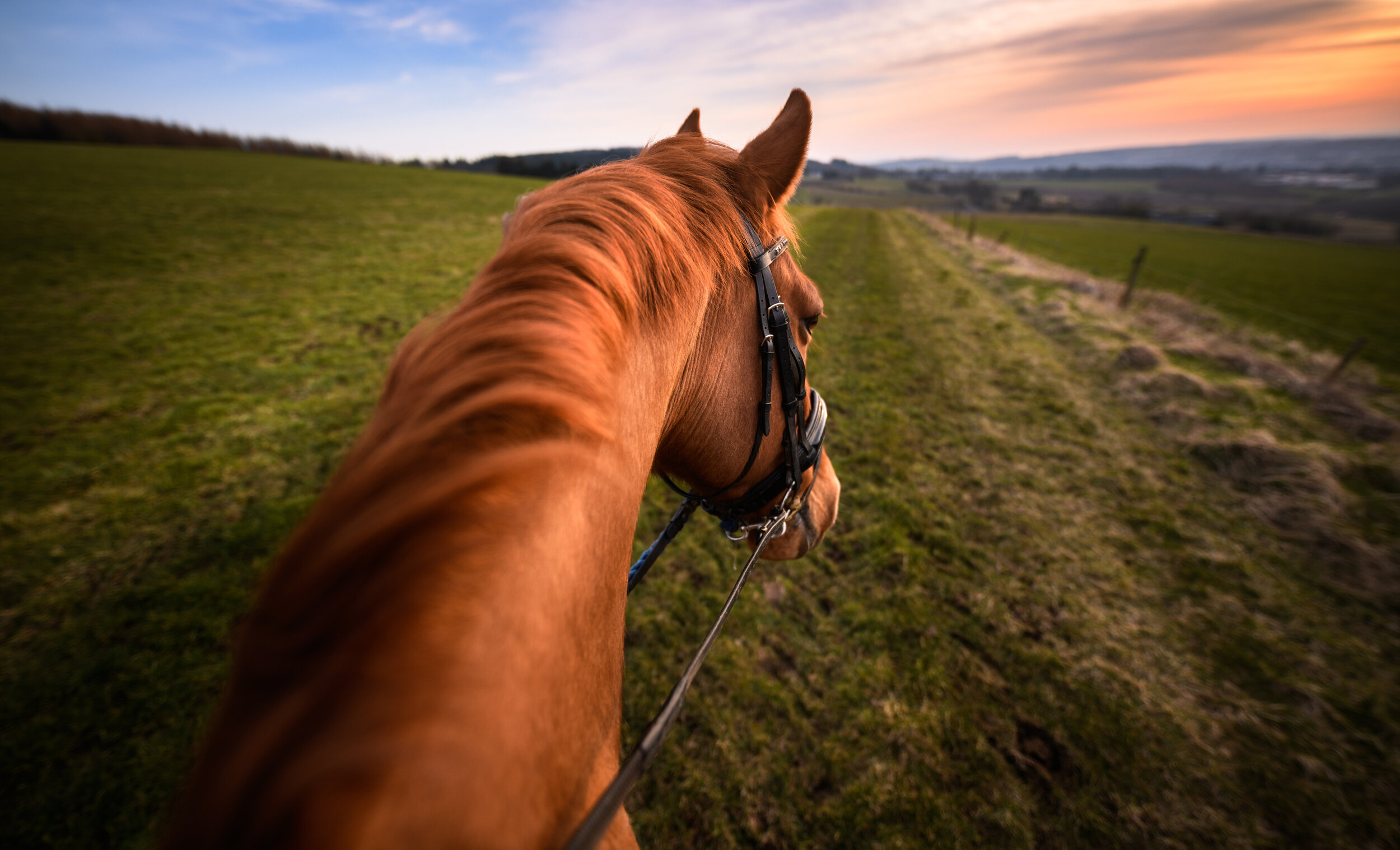 Horse_Ride_Sunset_Hack_Scotland.jpg