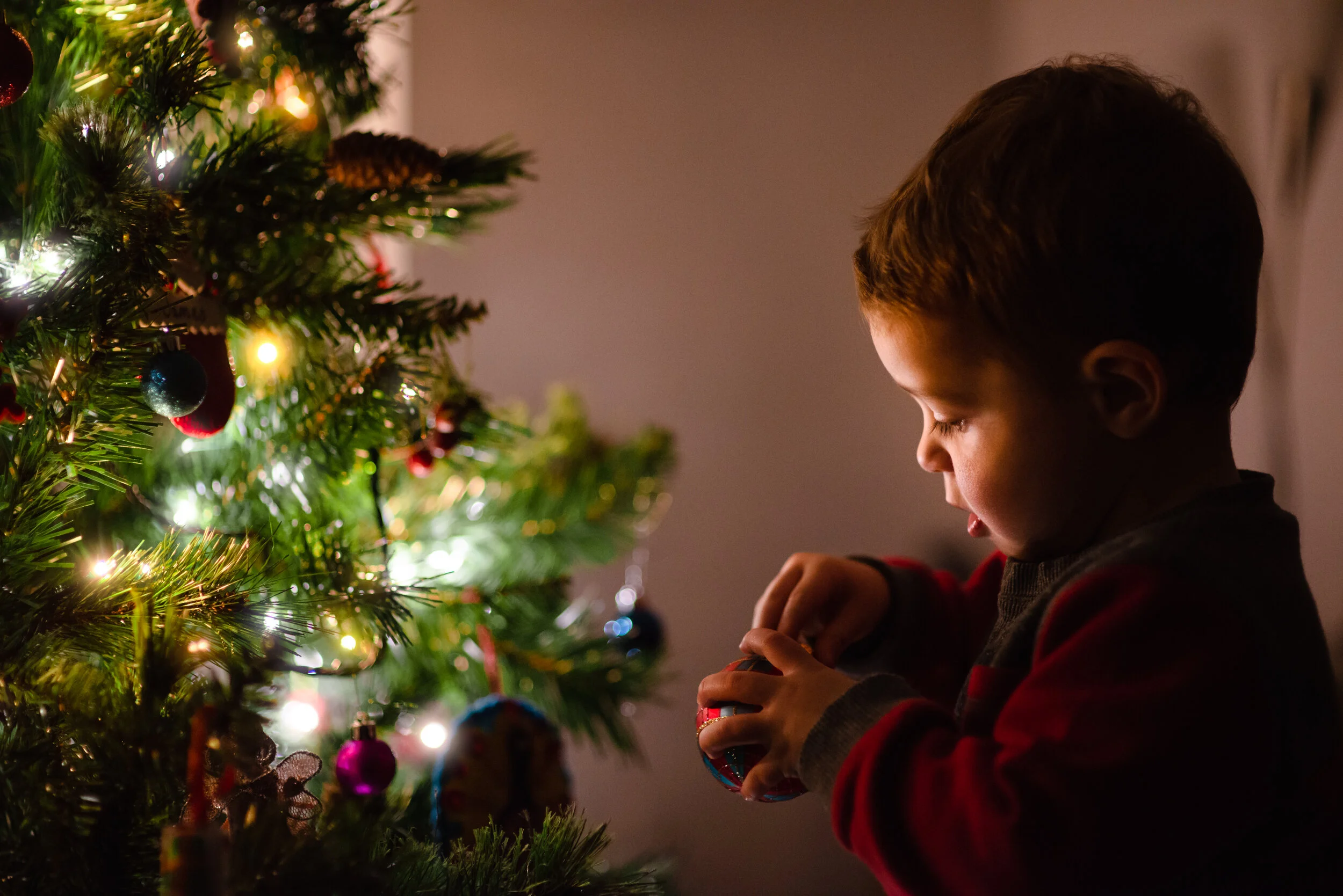 Christmas_Tree_Boy.JPG