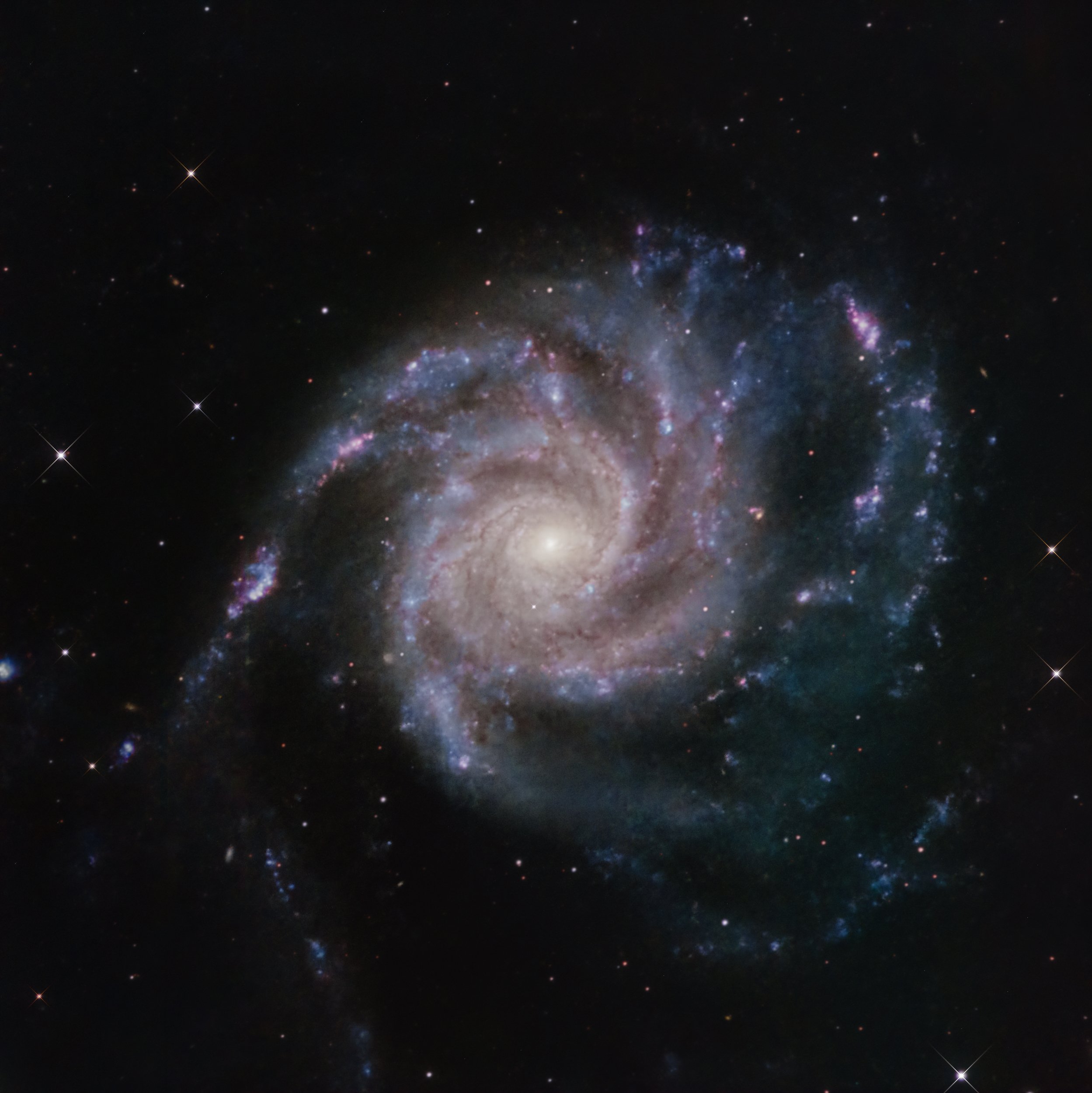 Pinwheel Galaxy-2.JPG