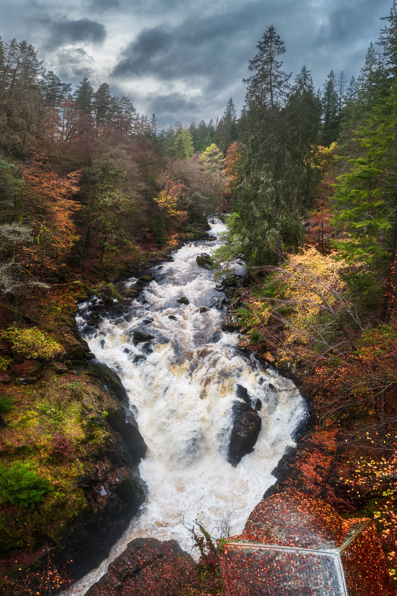 Hermitage_Perthshire_Scotland.JPG