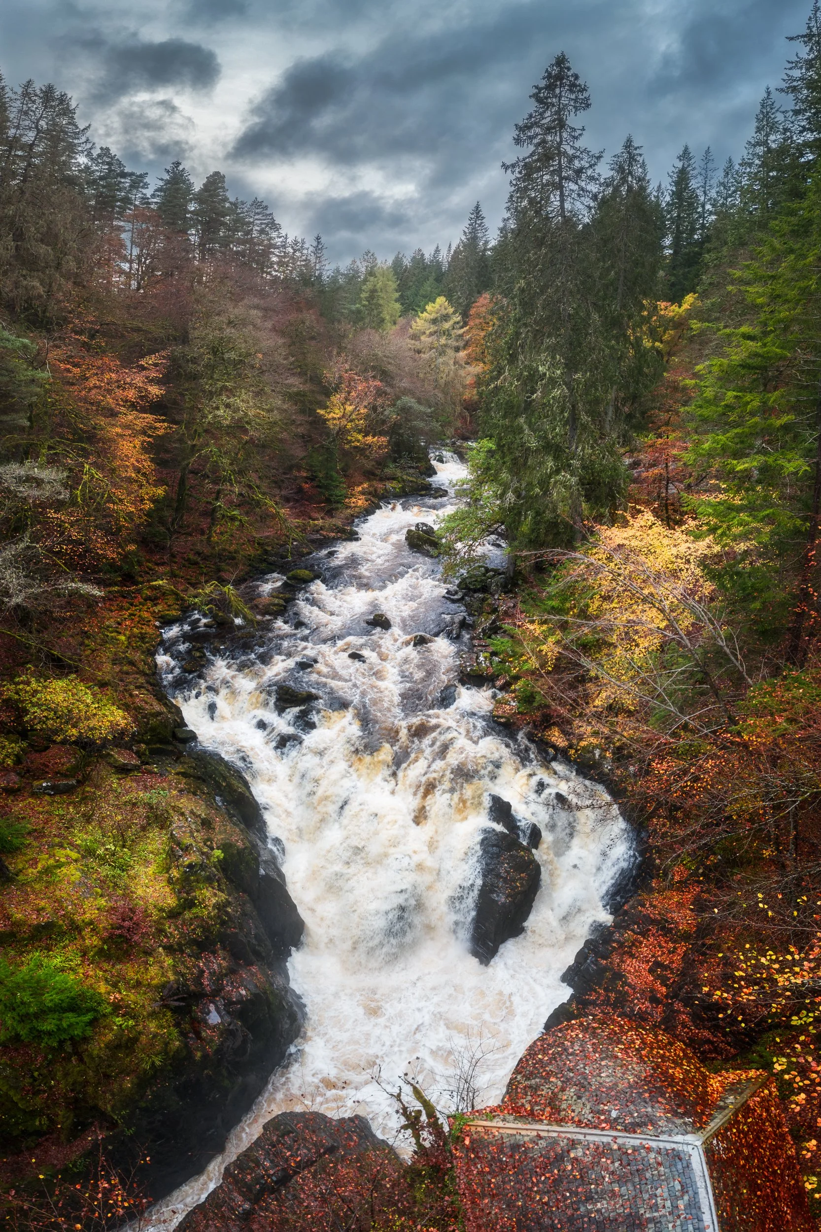 Hermitage_Autumn_Panoramic_web.JPG