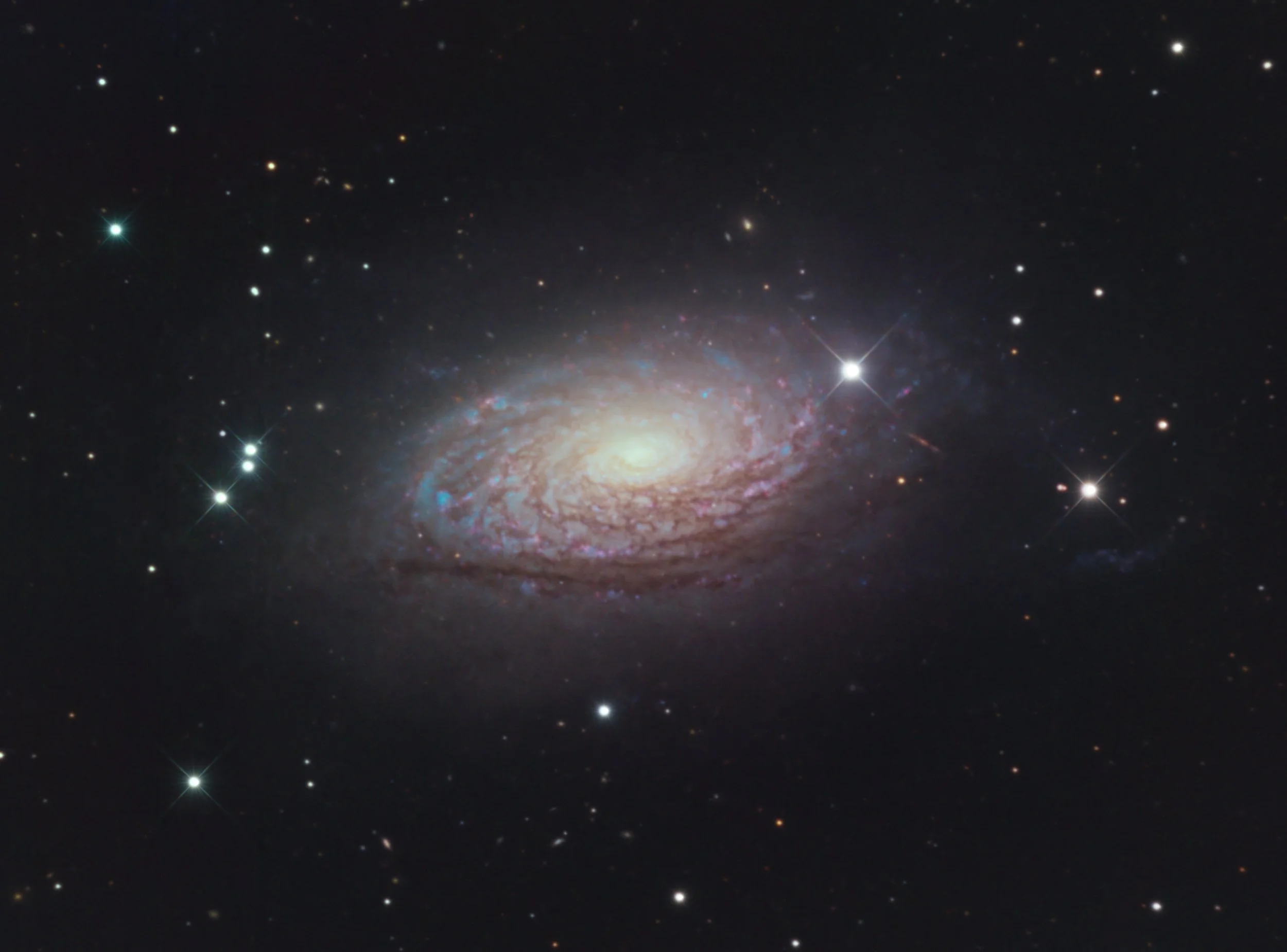 M63_web.JPG