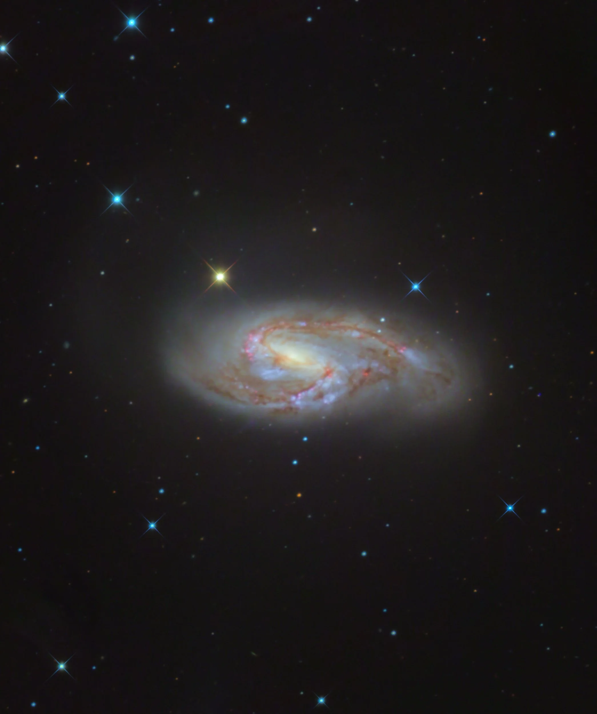 M66_web.JPG