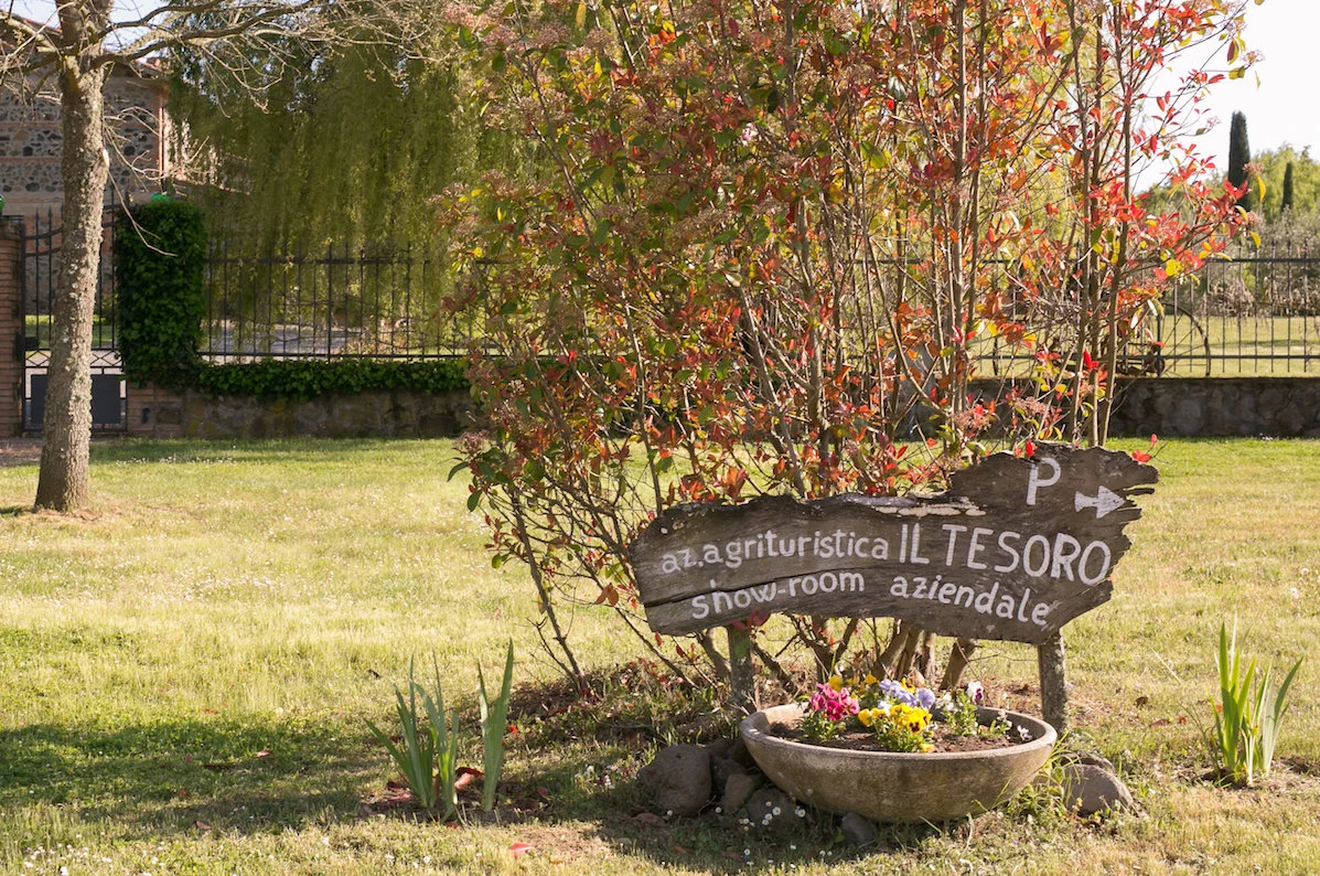il-tesoro-sign.jpg