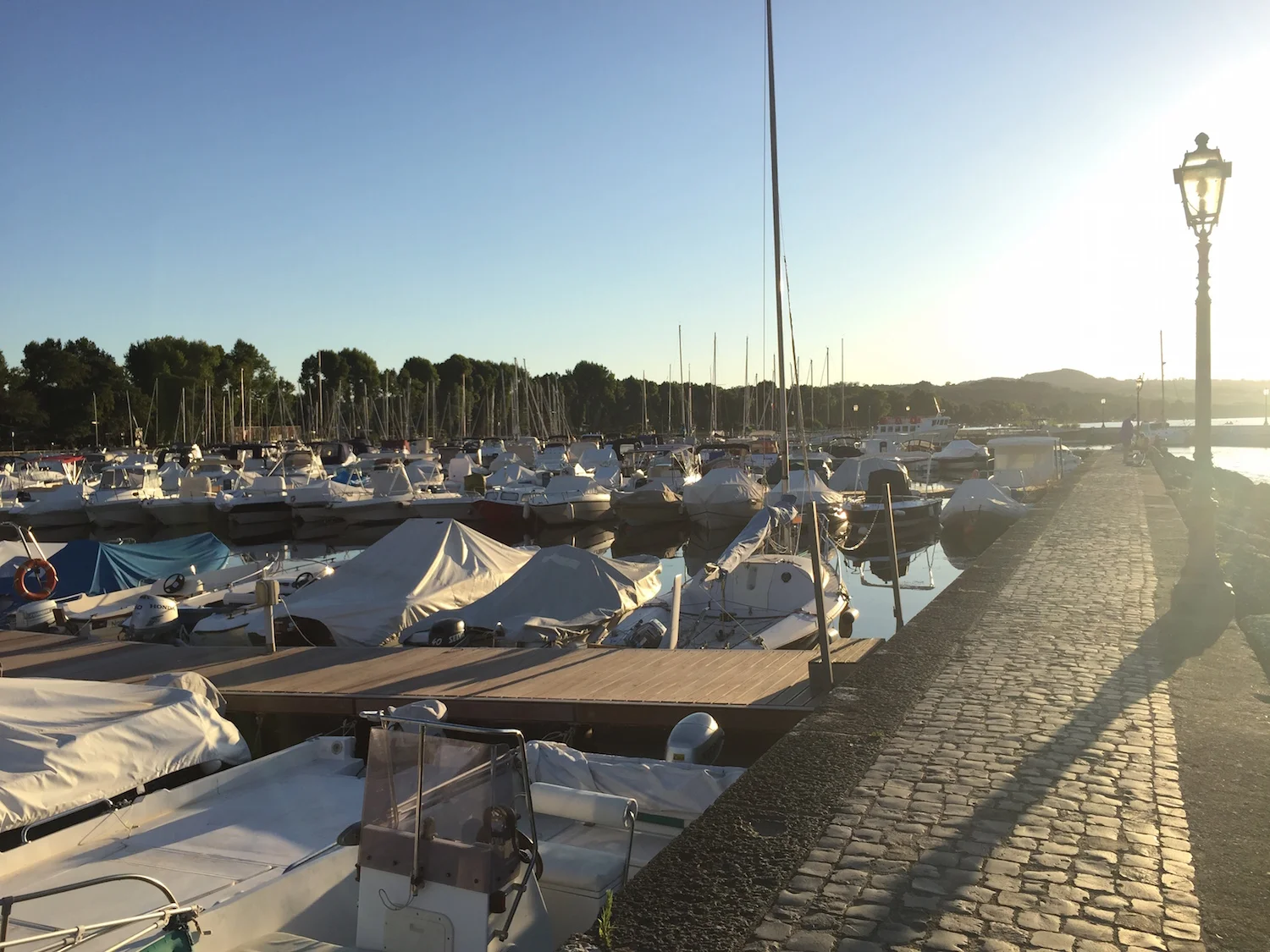 lake-bolsena-boats.jpg