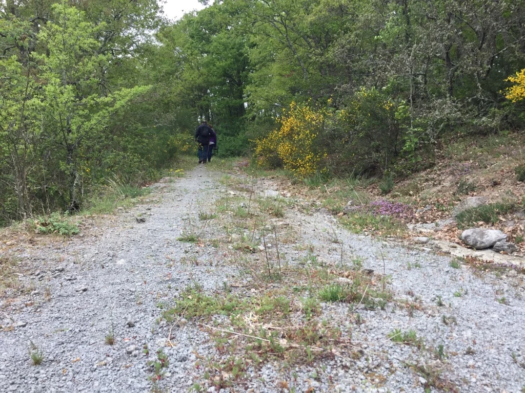 hiking-activity.jpg