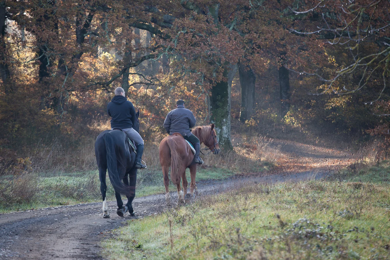 horseback-riding.jpg