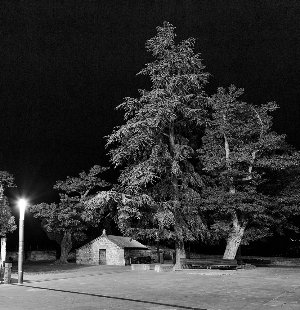 50X50-4.jpg