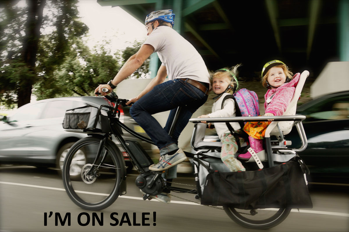 xtracycle-edgerunner-two-yepp-maxi-child-seats-copy.jpg